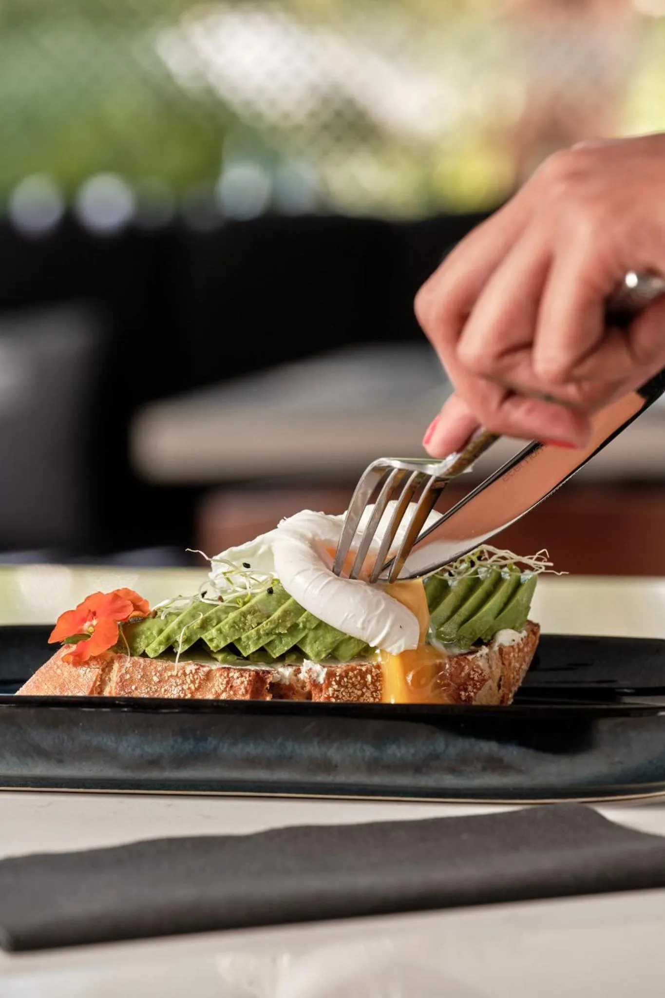 Restaurant/places to eat in Crowne Plaza - Marseille Le Dôme