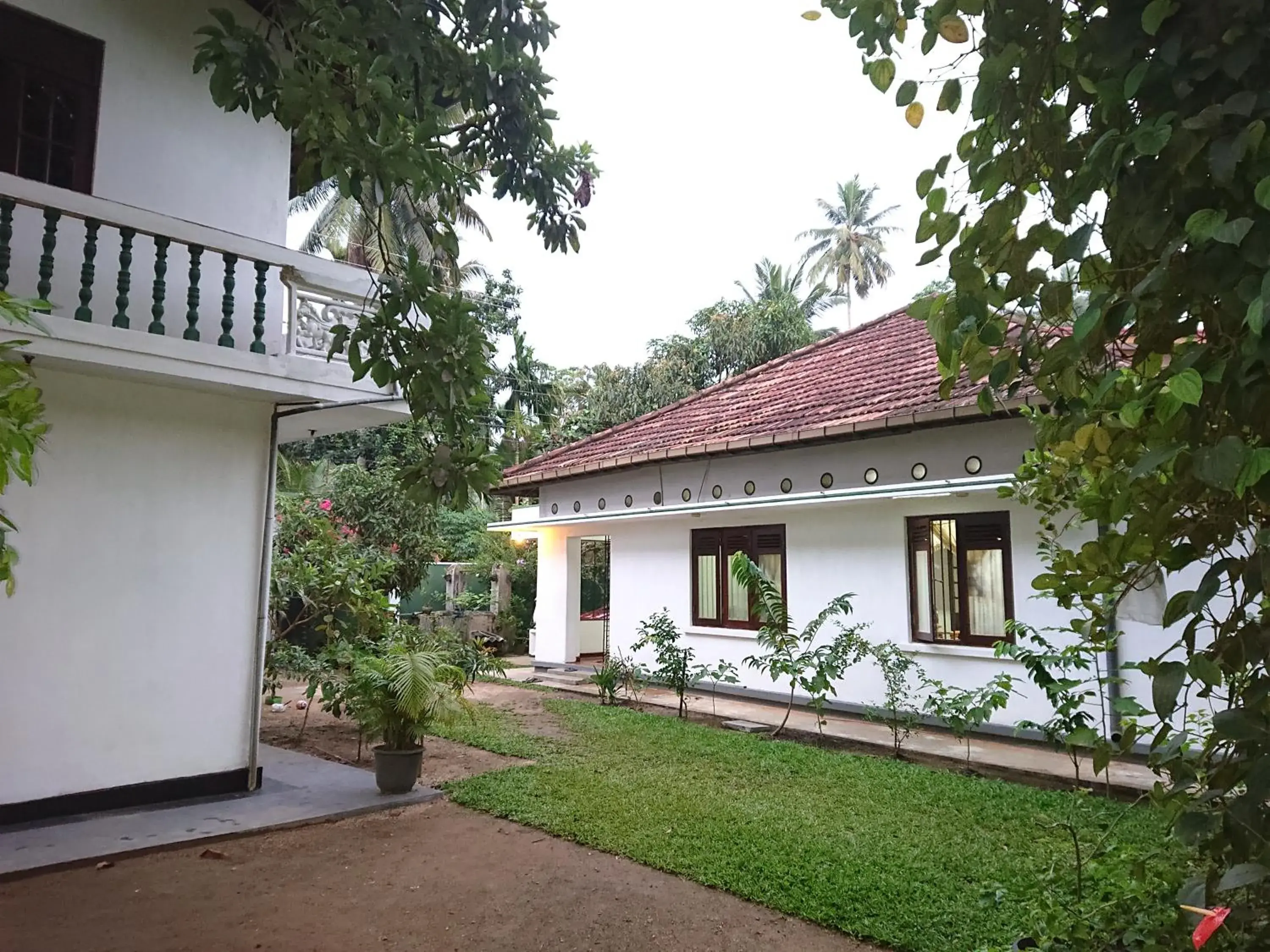 More Attractive wonderful 1950 mid-century home with another newly built house More Attractive wonderful 1950 mid-century home with another newly built house