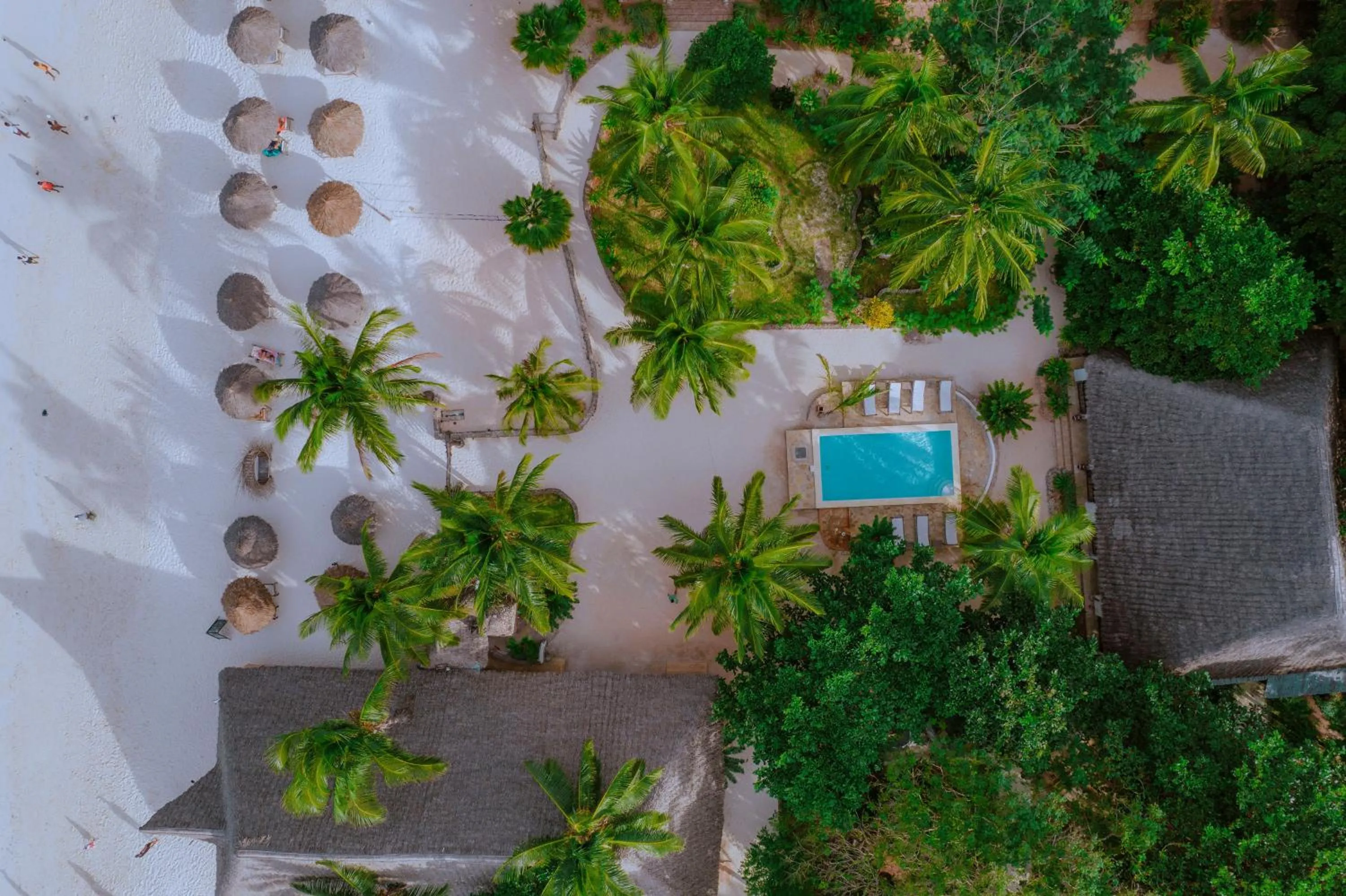 Beach in Mambo Ocean Resort