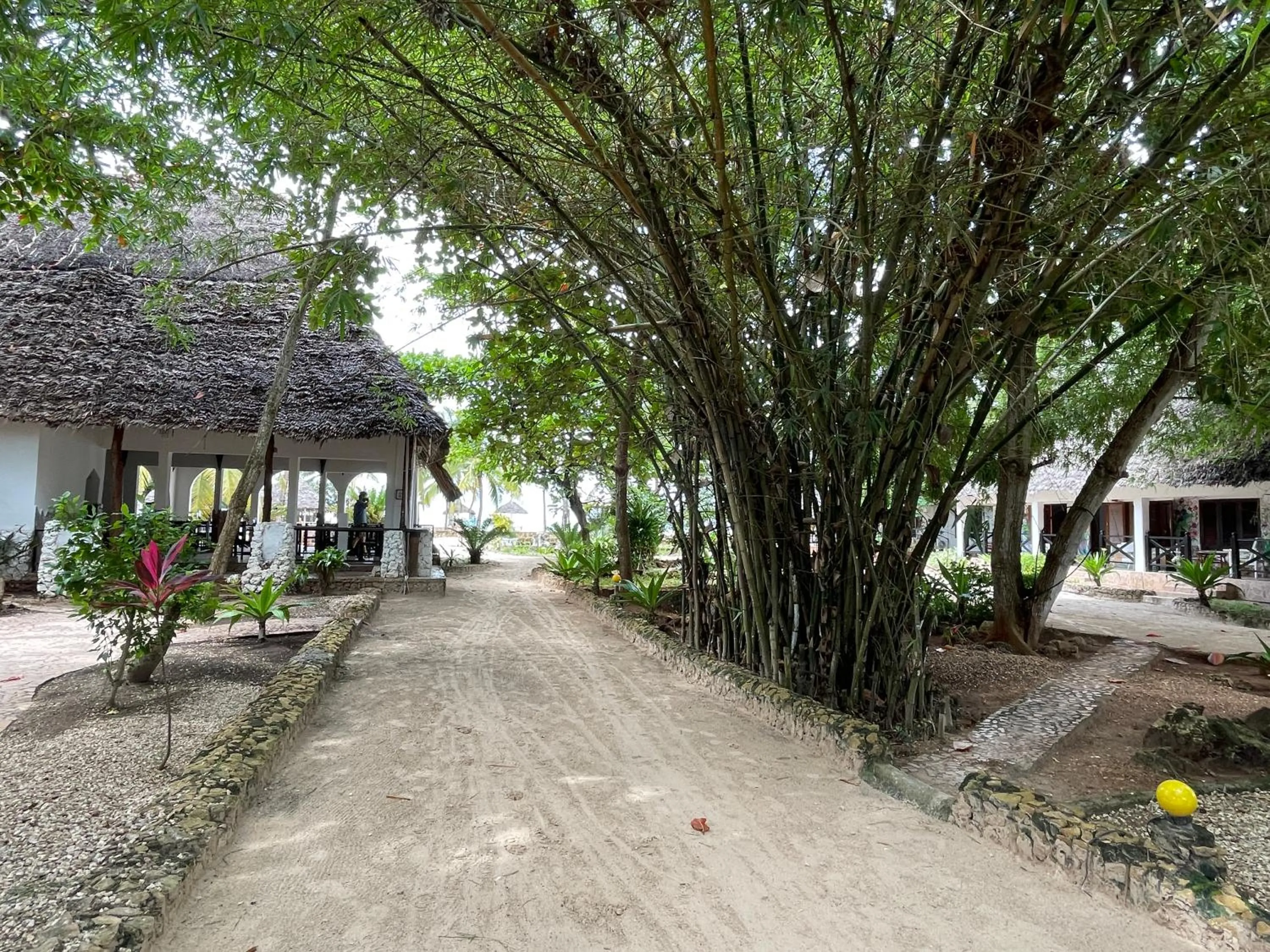Garden in Mambo Ocean Resort