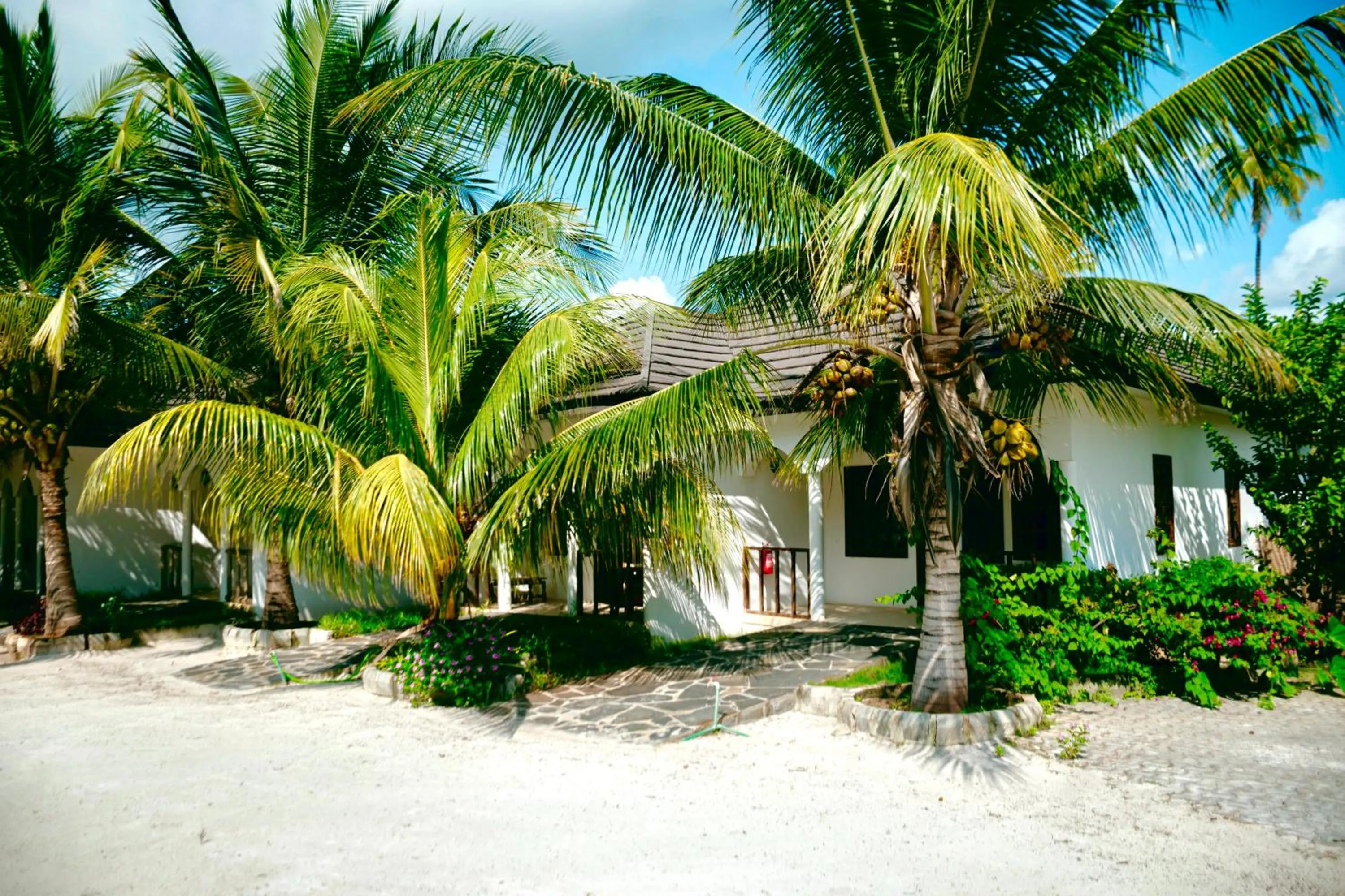 Property building in Mambo Ocean Resort