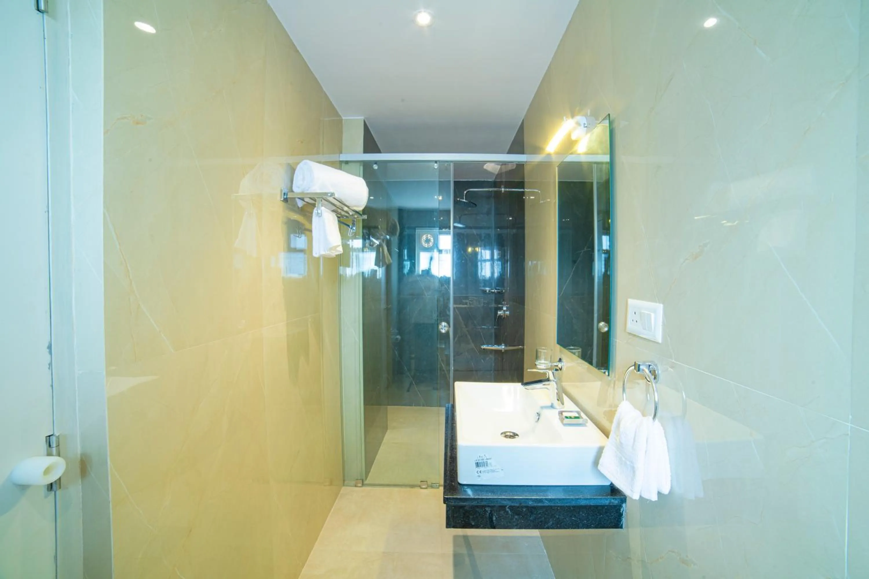 Shower in The Beacon Hotel Visakhapatnam