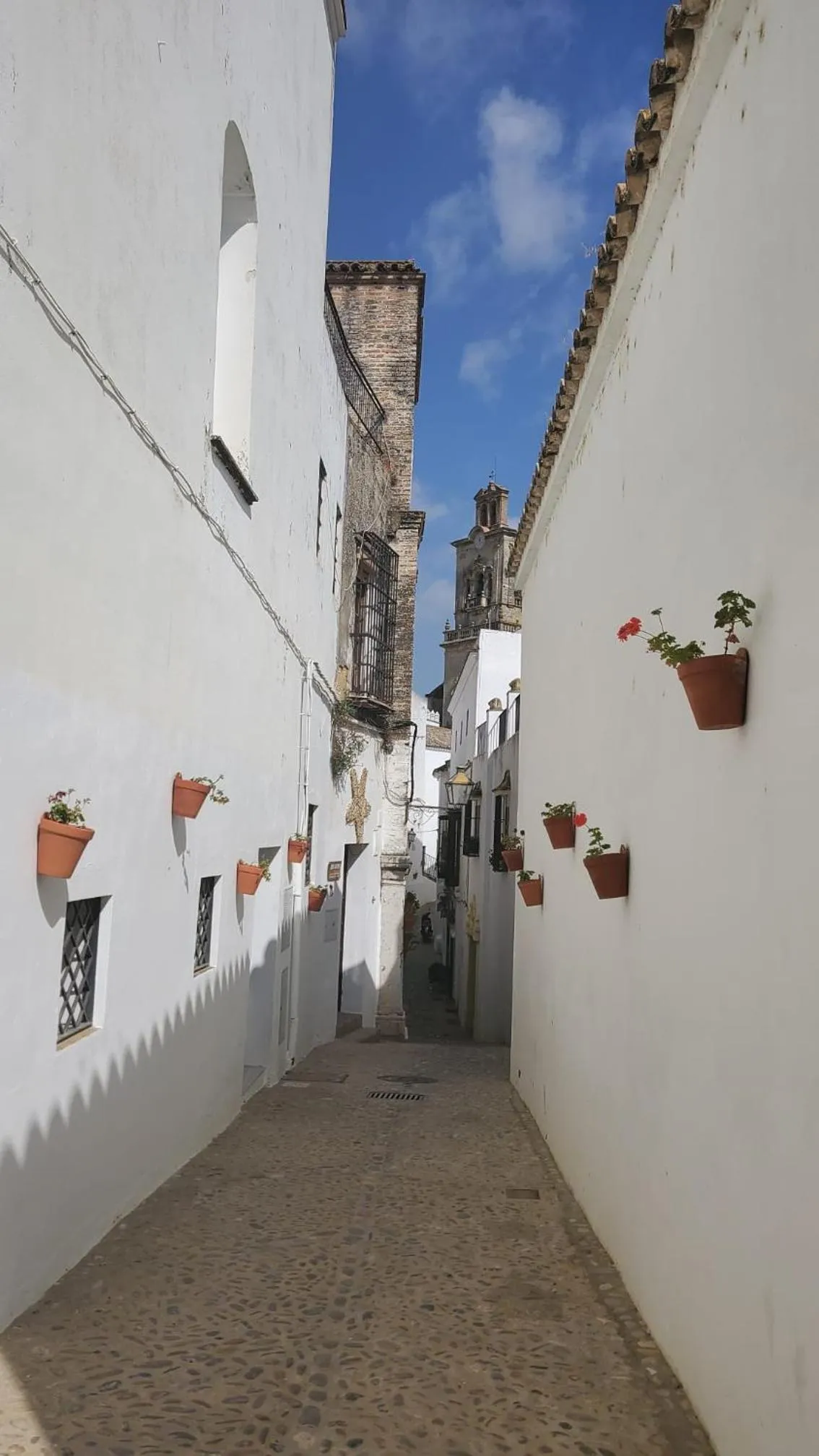 Neighbourhood in Boutique Suites