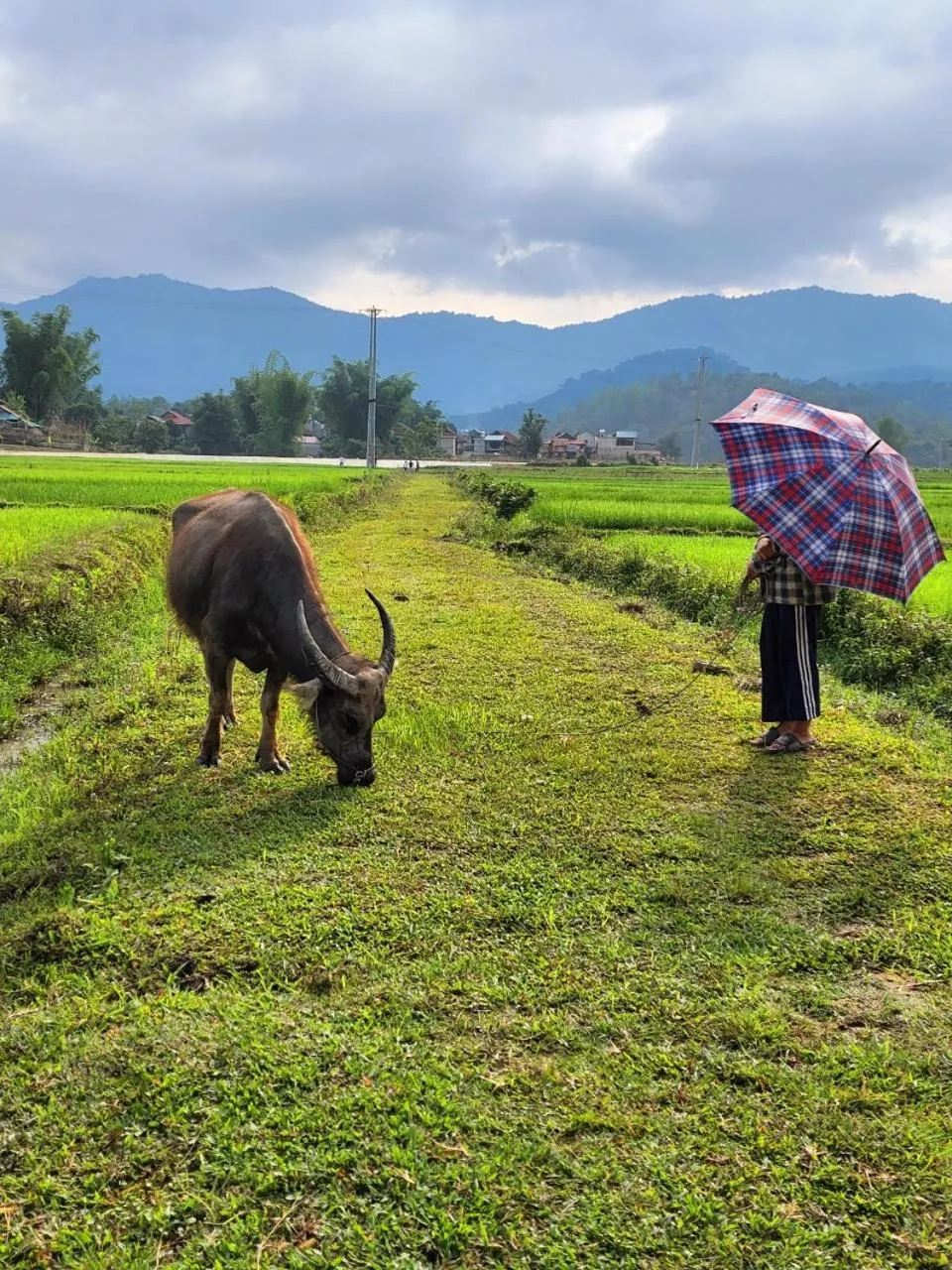 Natural landscape in Frontier Hostel & Tours