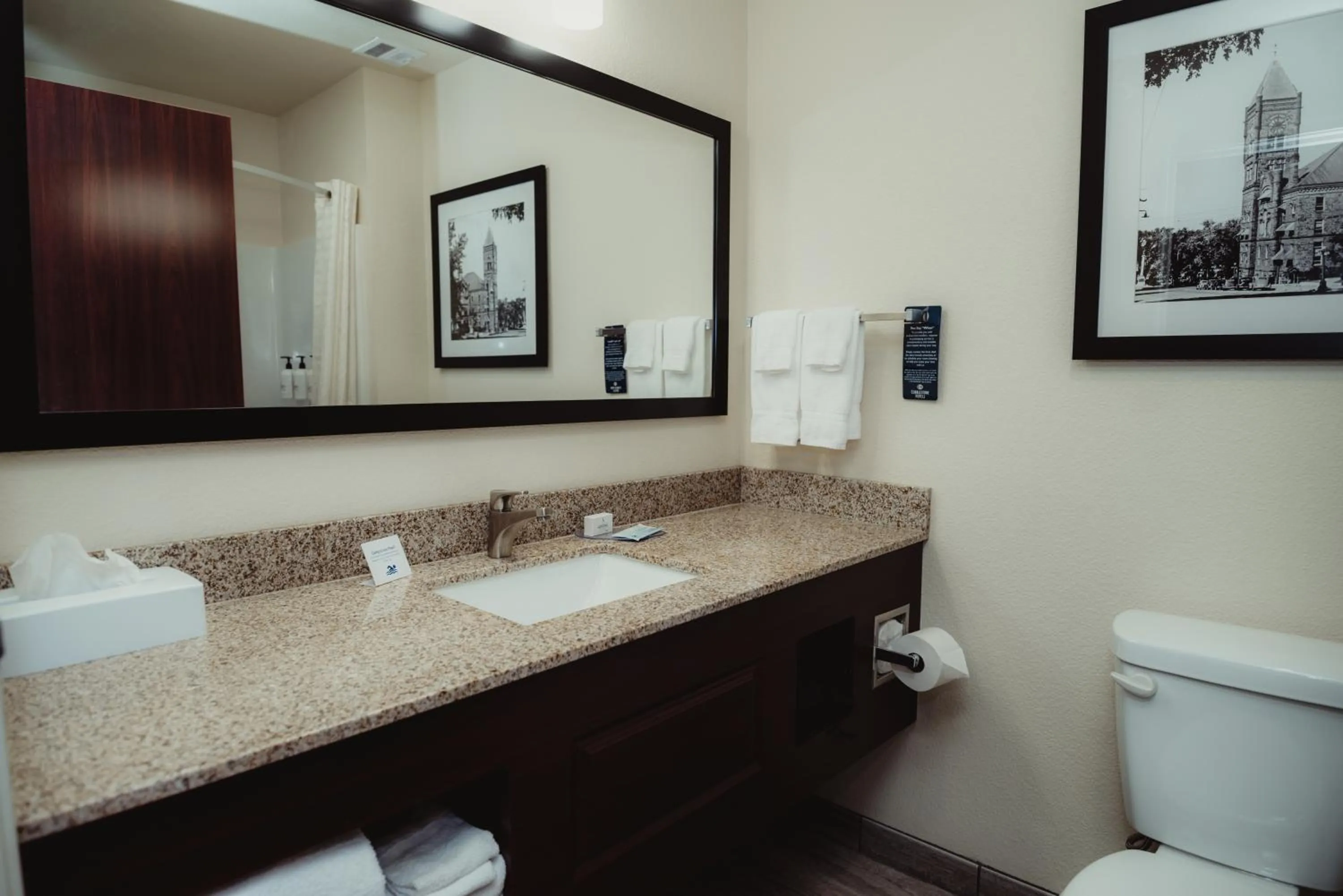 Bathroom in Cobblestone Hotel & Suites - Ottumwa