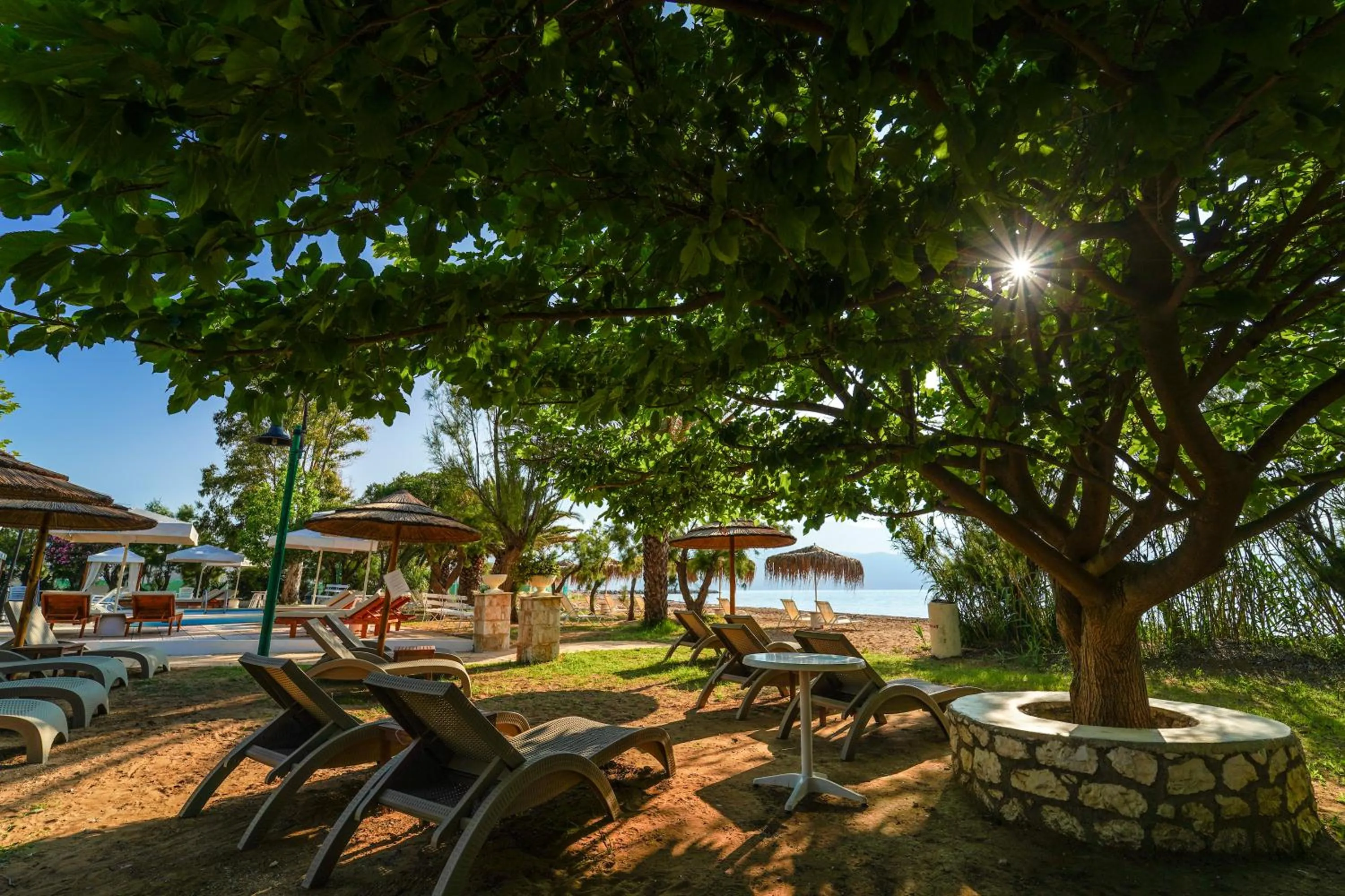 Swimming pool in Hotel Summery