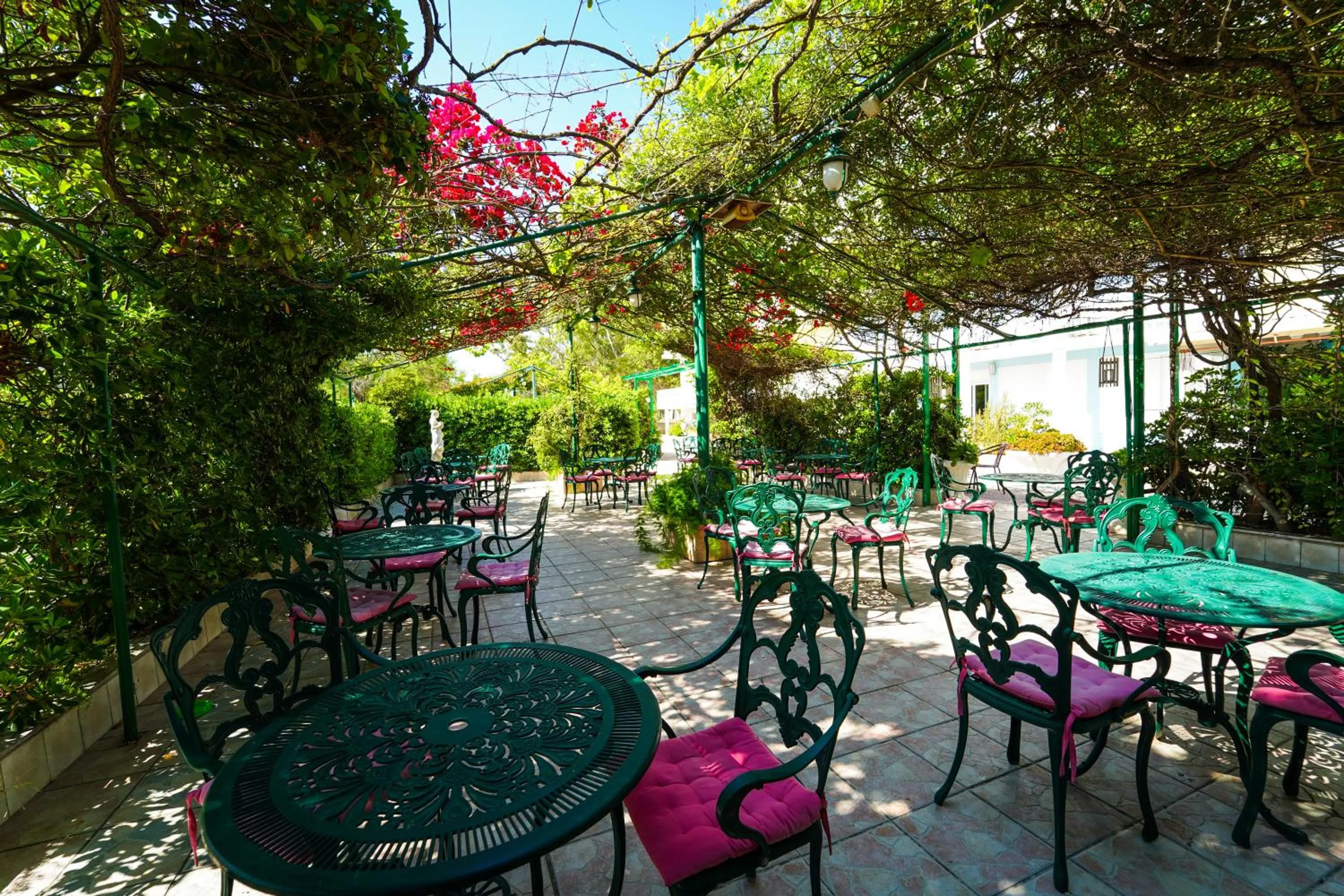 Patio in Hotel Summery