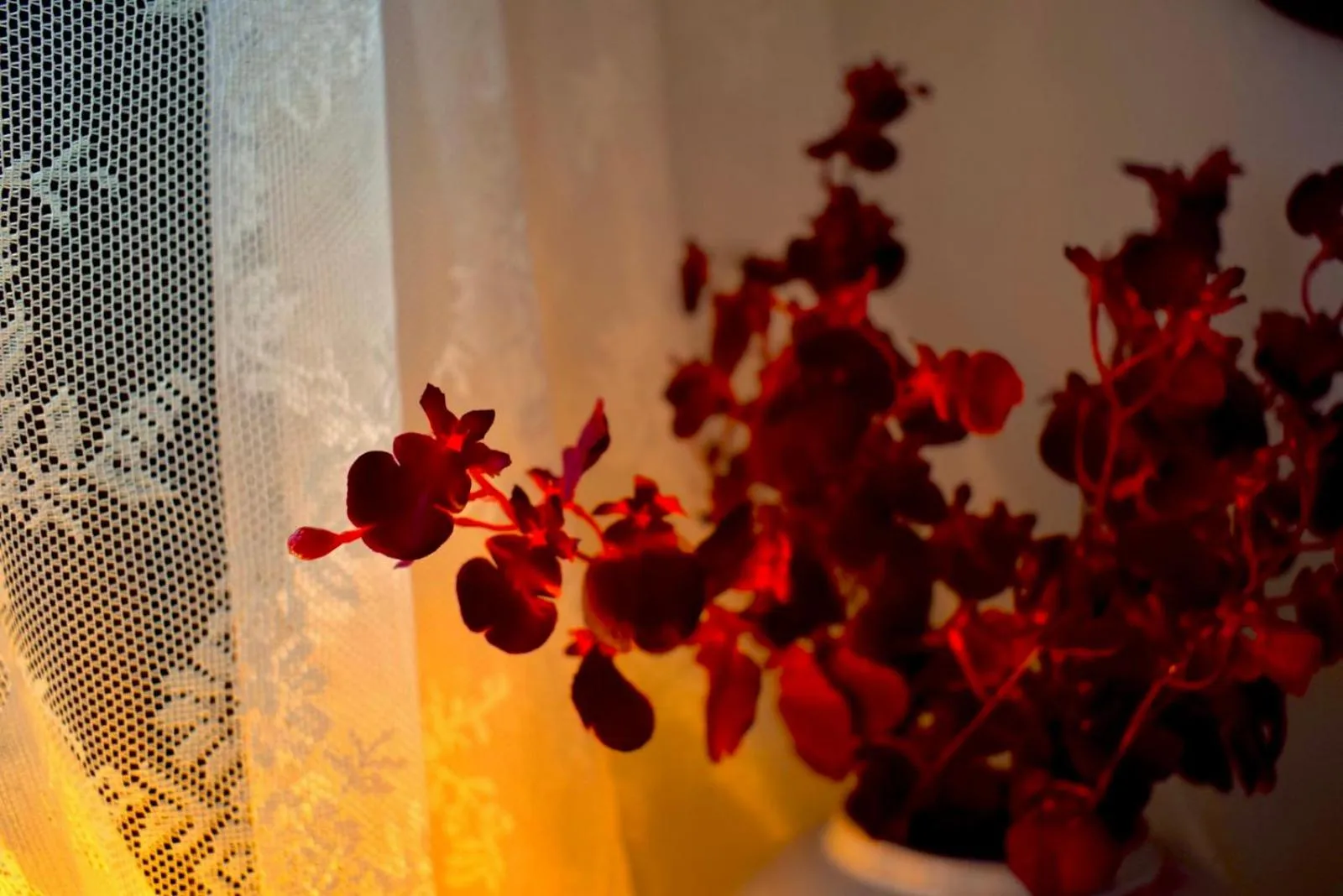 Decorative detail in Carmen Art Hotel