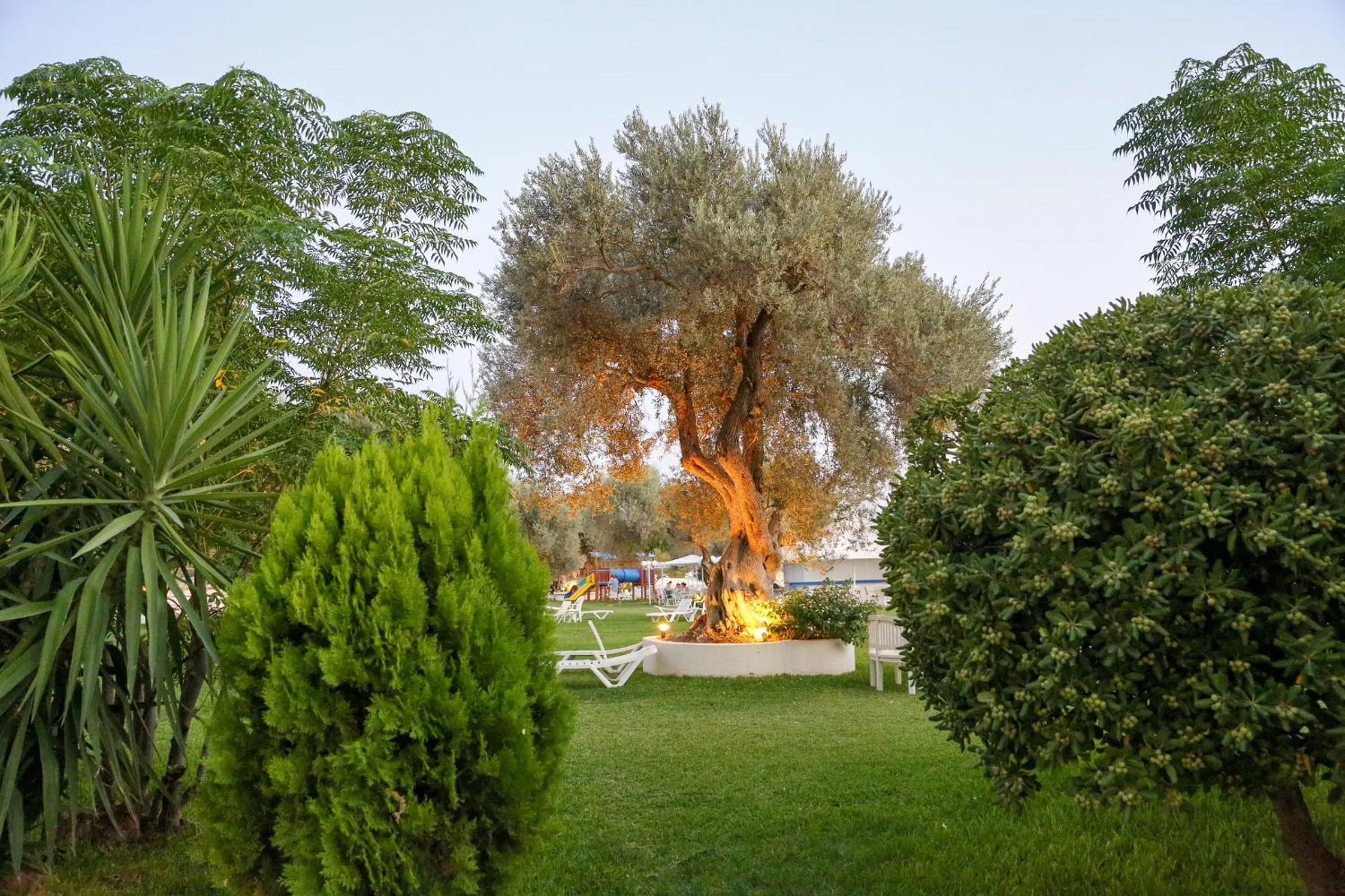 Garden in Palmariva Beach Hotel