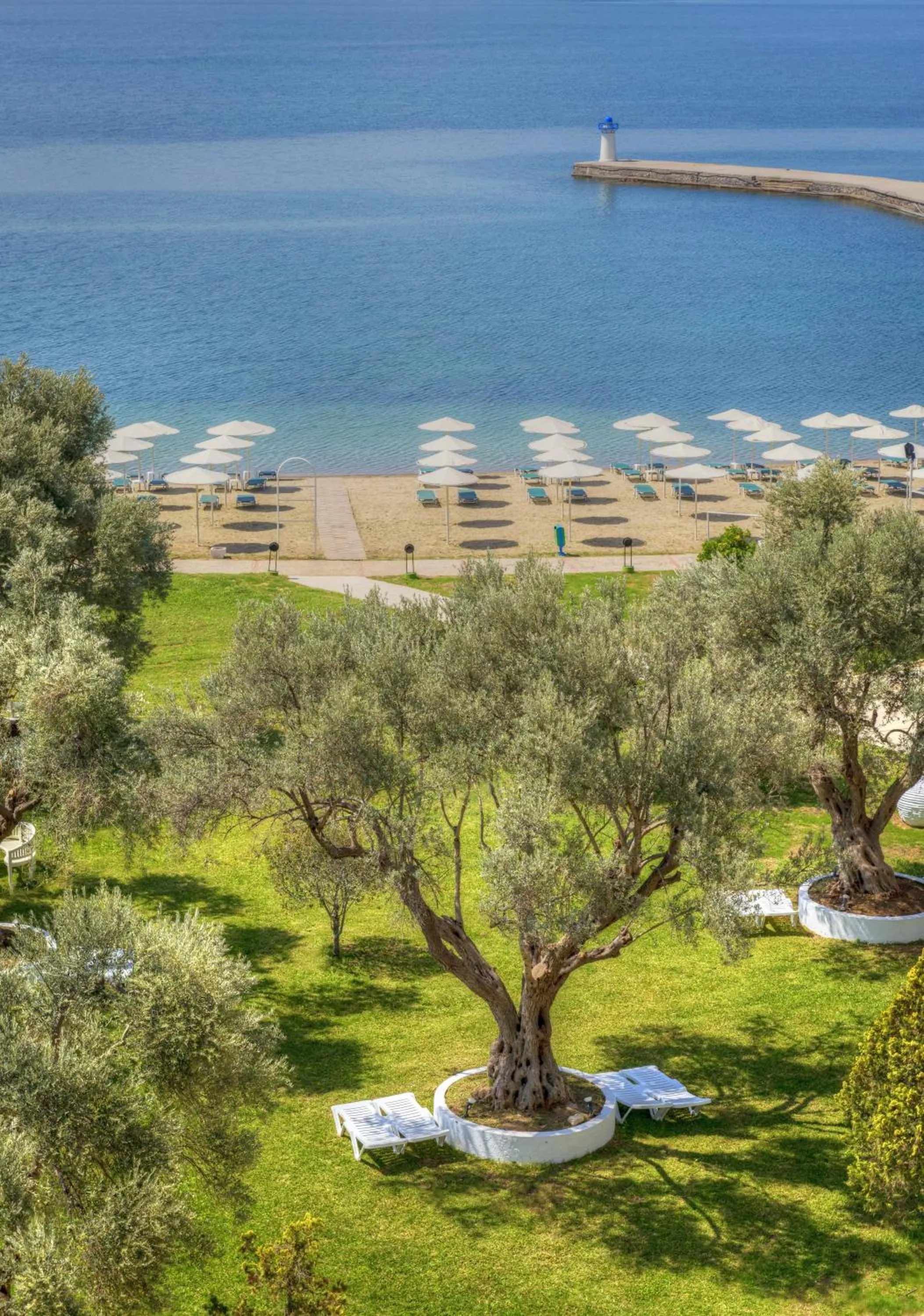 Garden in Palmariva Beach Hotel