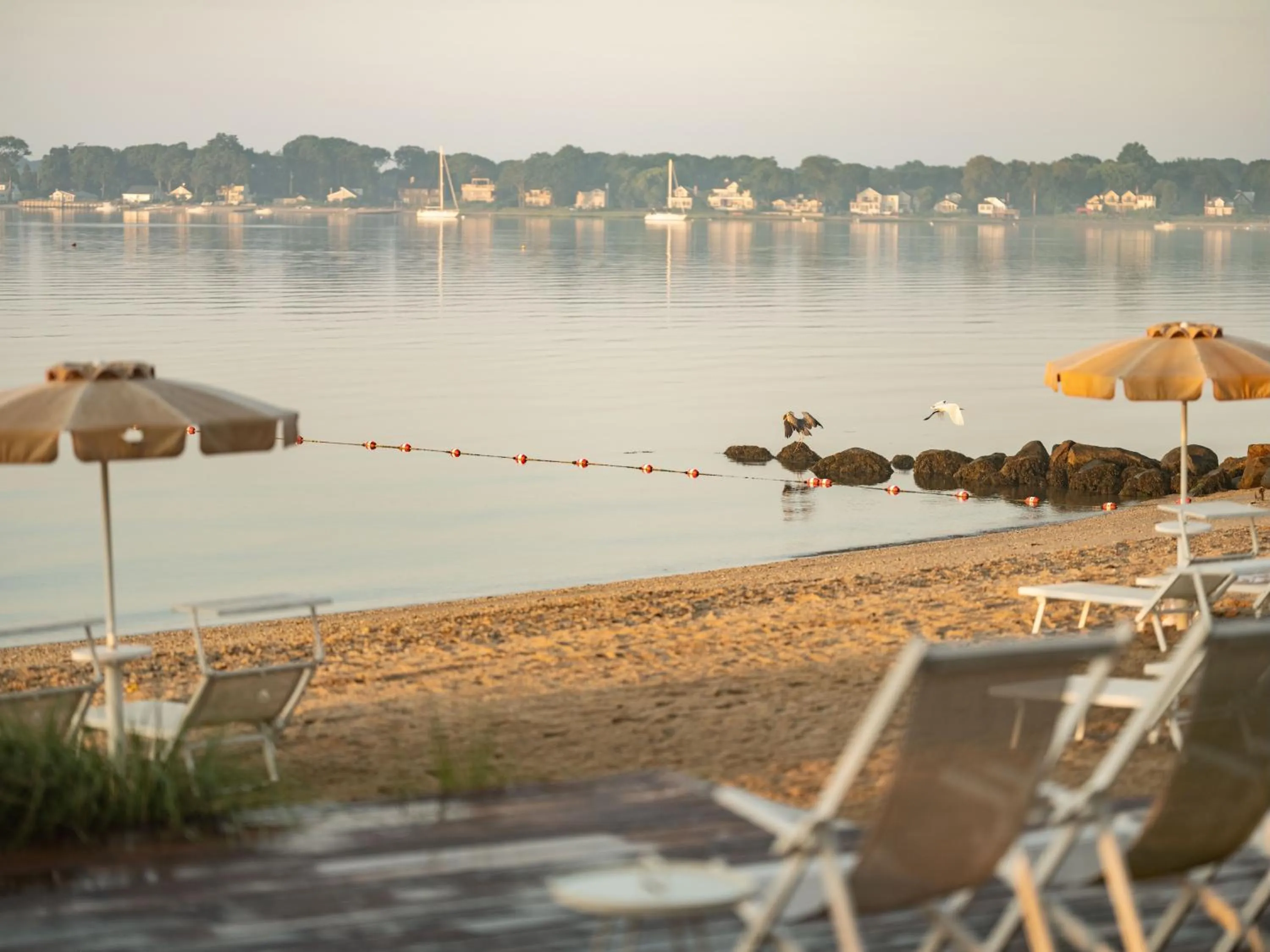 Day in Silver Sands Motel & Beach Bungalows
