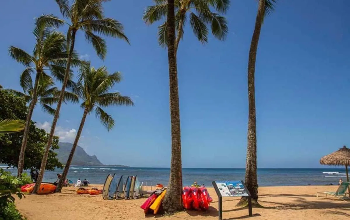 Natural landscape in Hanalei Bay Resort BaliHi