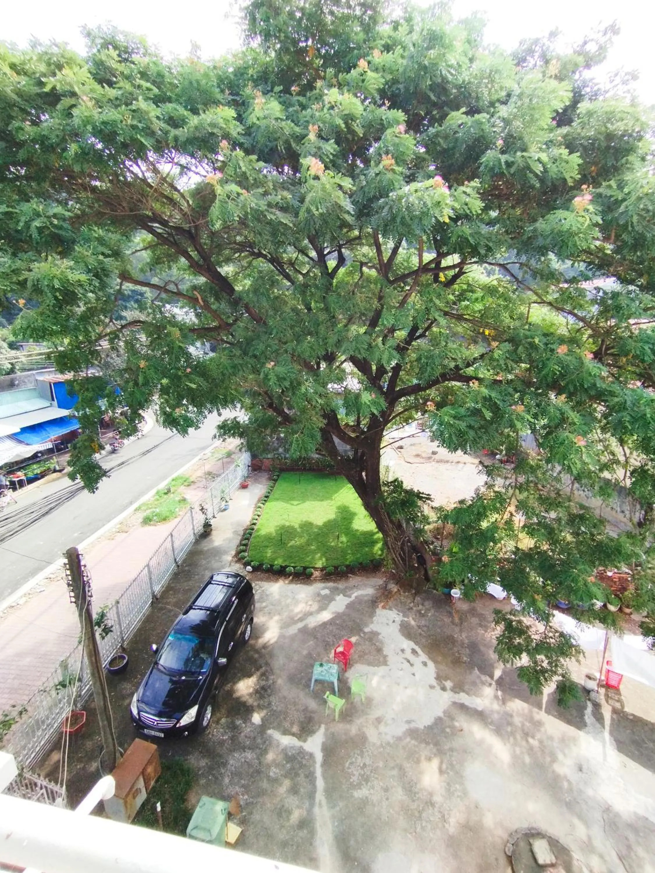 Garden in Nhà Nghỉ SAO MAI