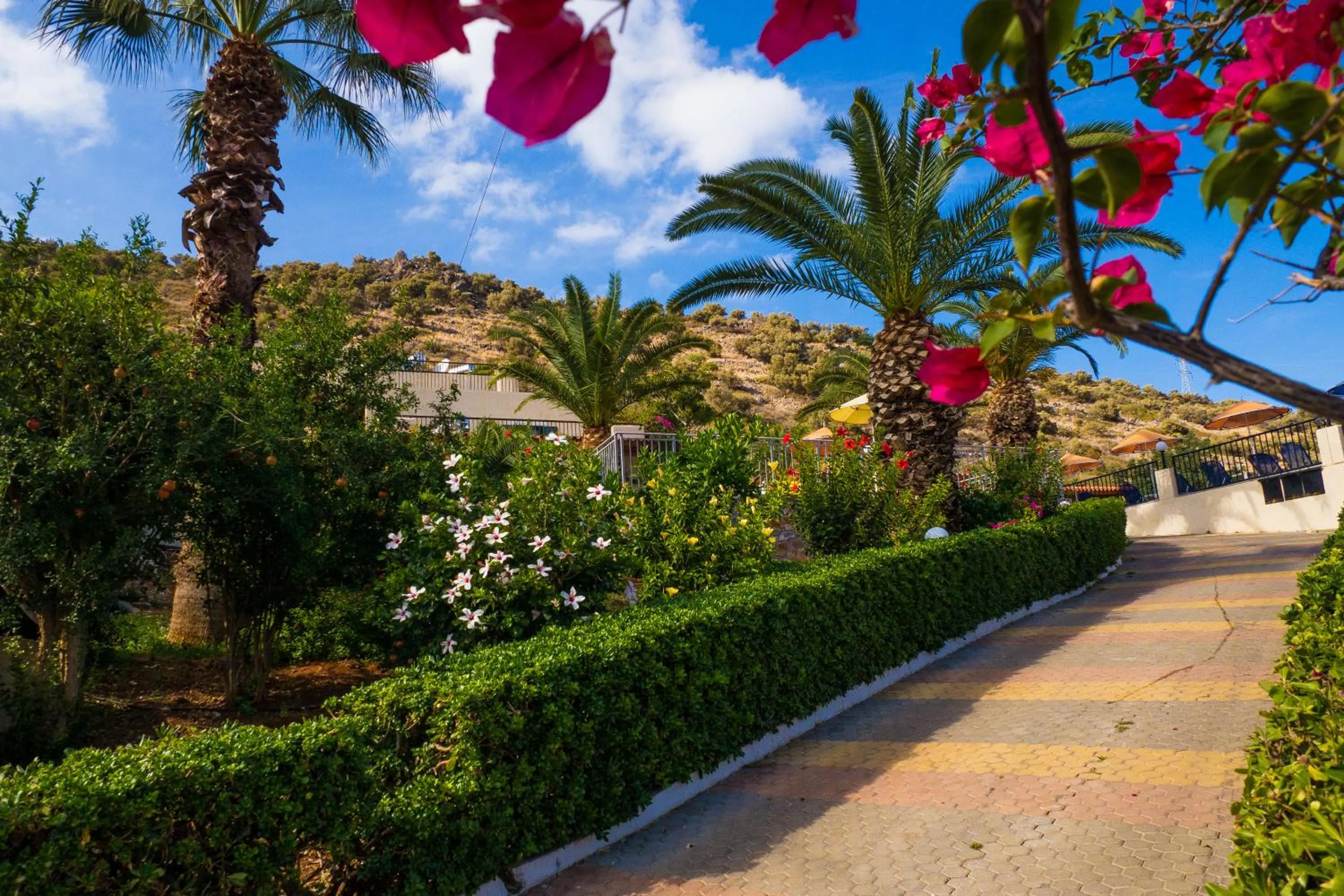 Garden in Mariamare apts