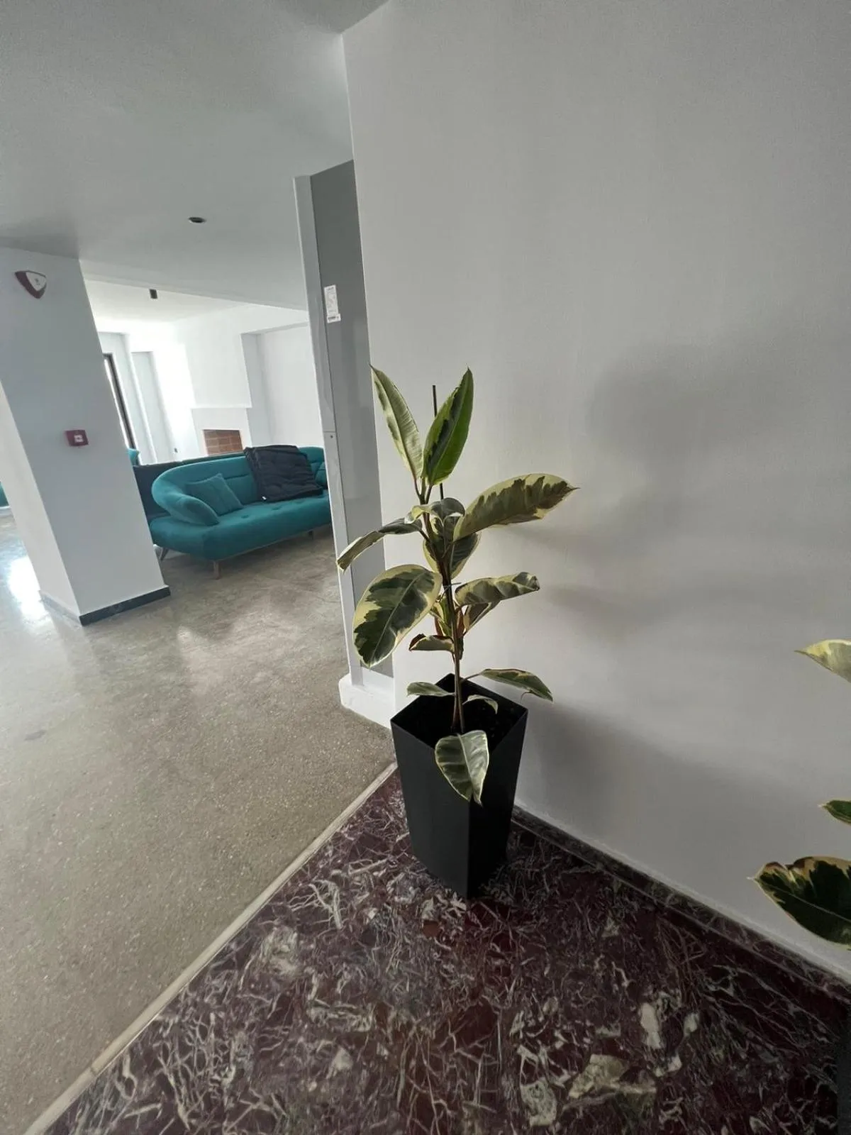 Lobby or reception in Evita Blue