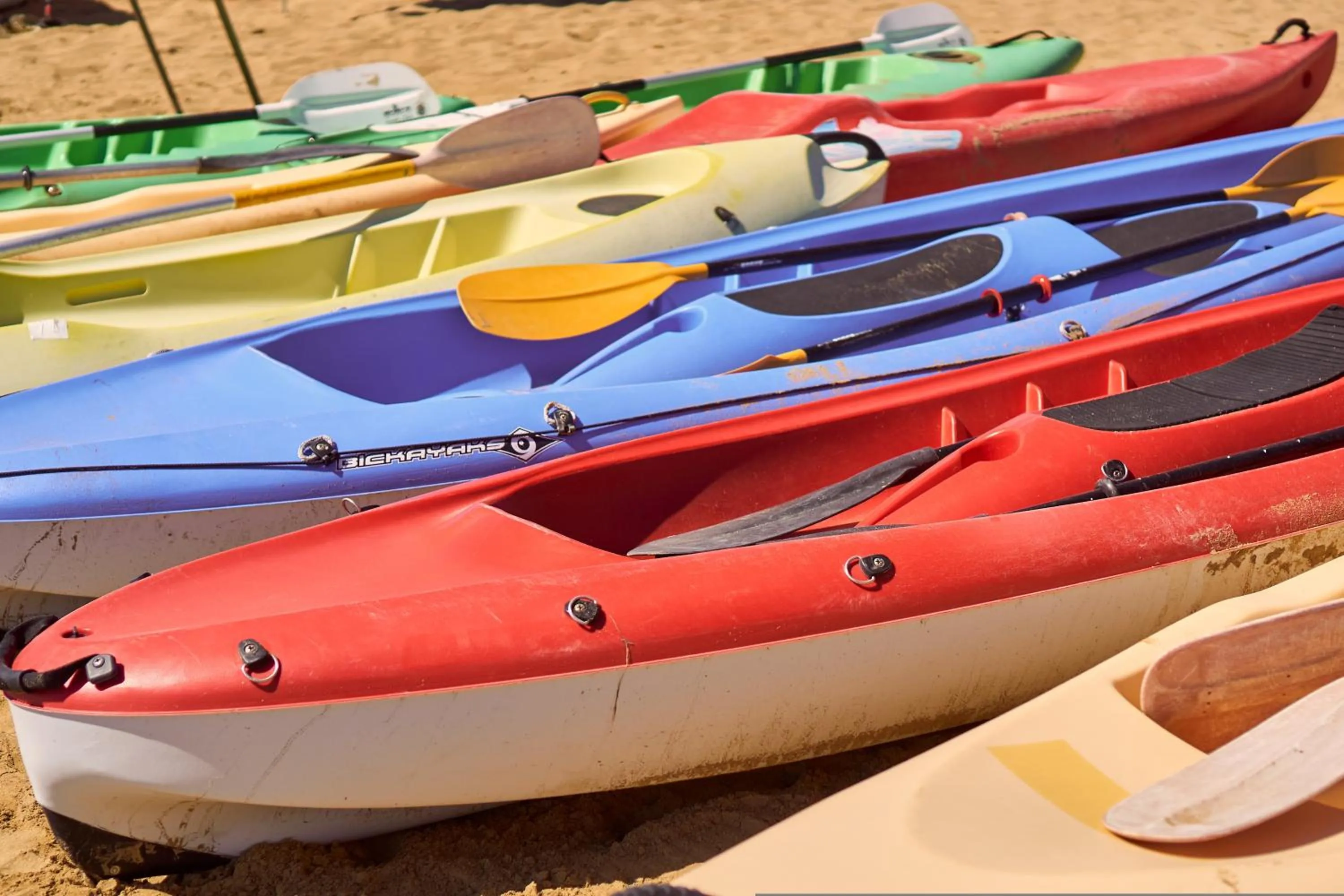 Area and facilities in Adorable flat with terrace in Bibione - Beahost