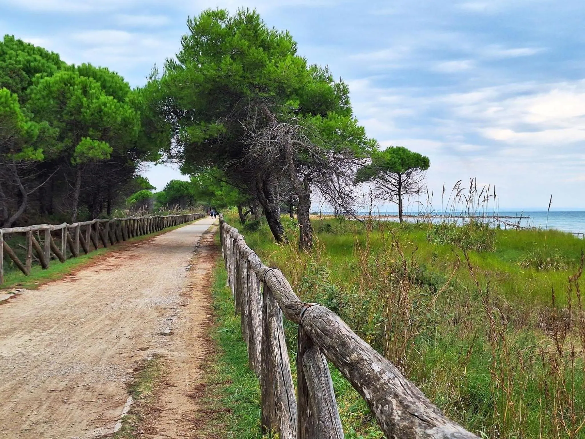 Summer in Adorable flat with terrace in Bibione - Beahost