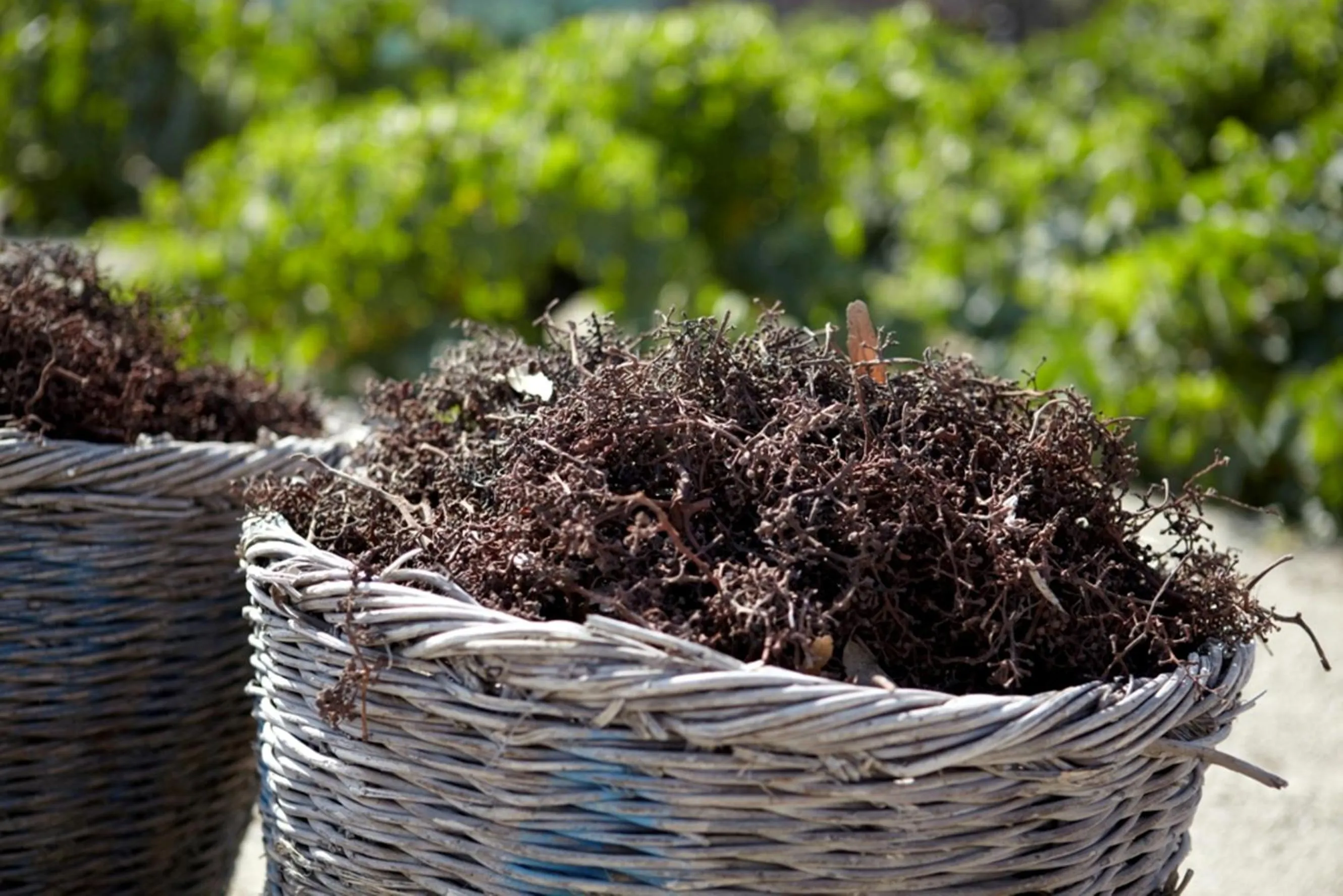 Decorative detail in Anna Traditional Apartments