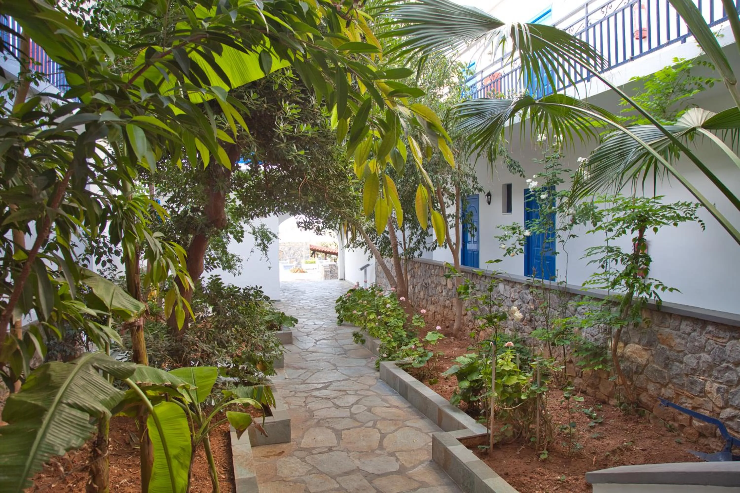 Garden view in Hotel Andreas - Agistri (Skala)