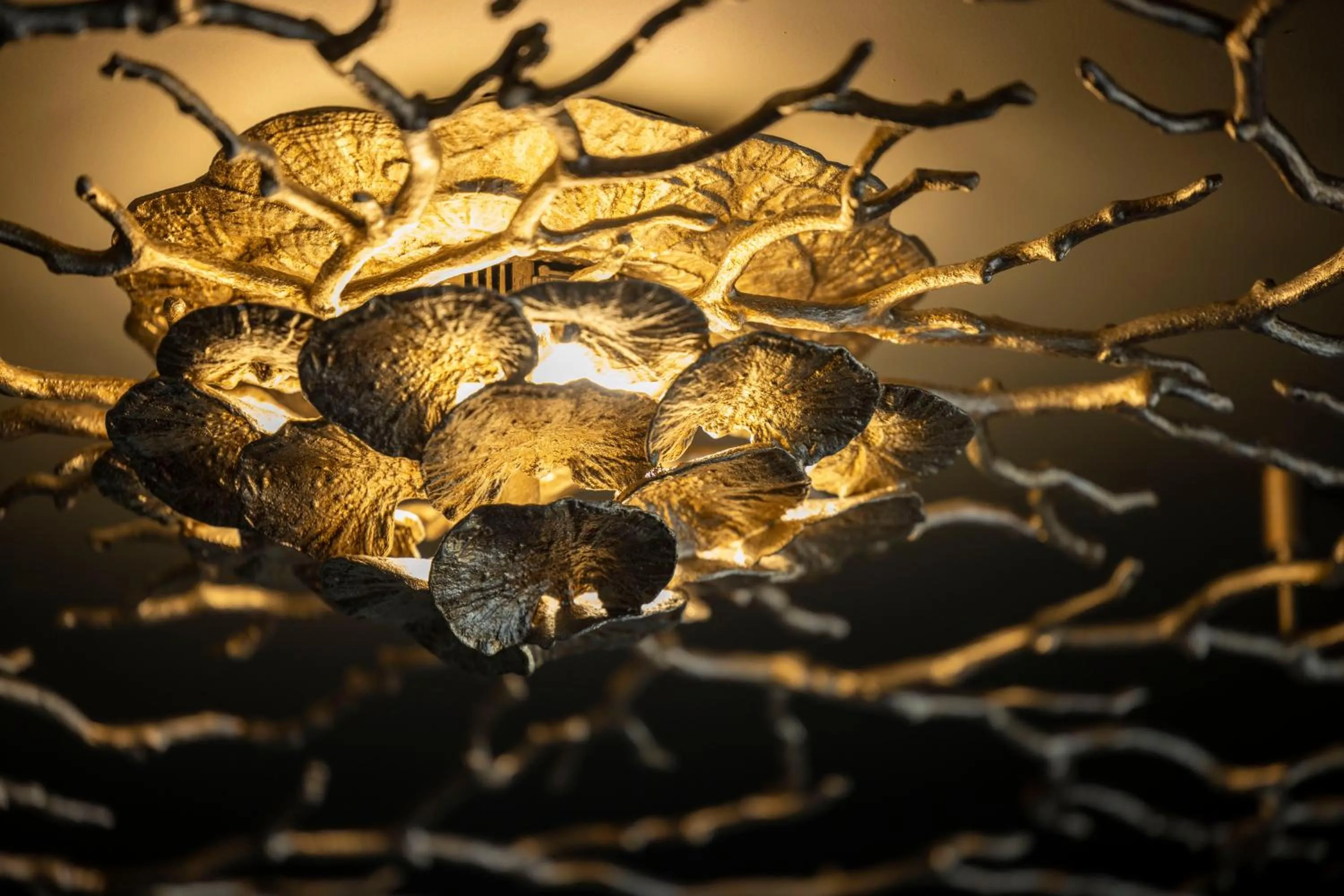 Other in Les Regalia Hôtel & Spa