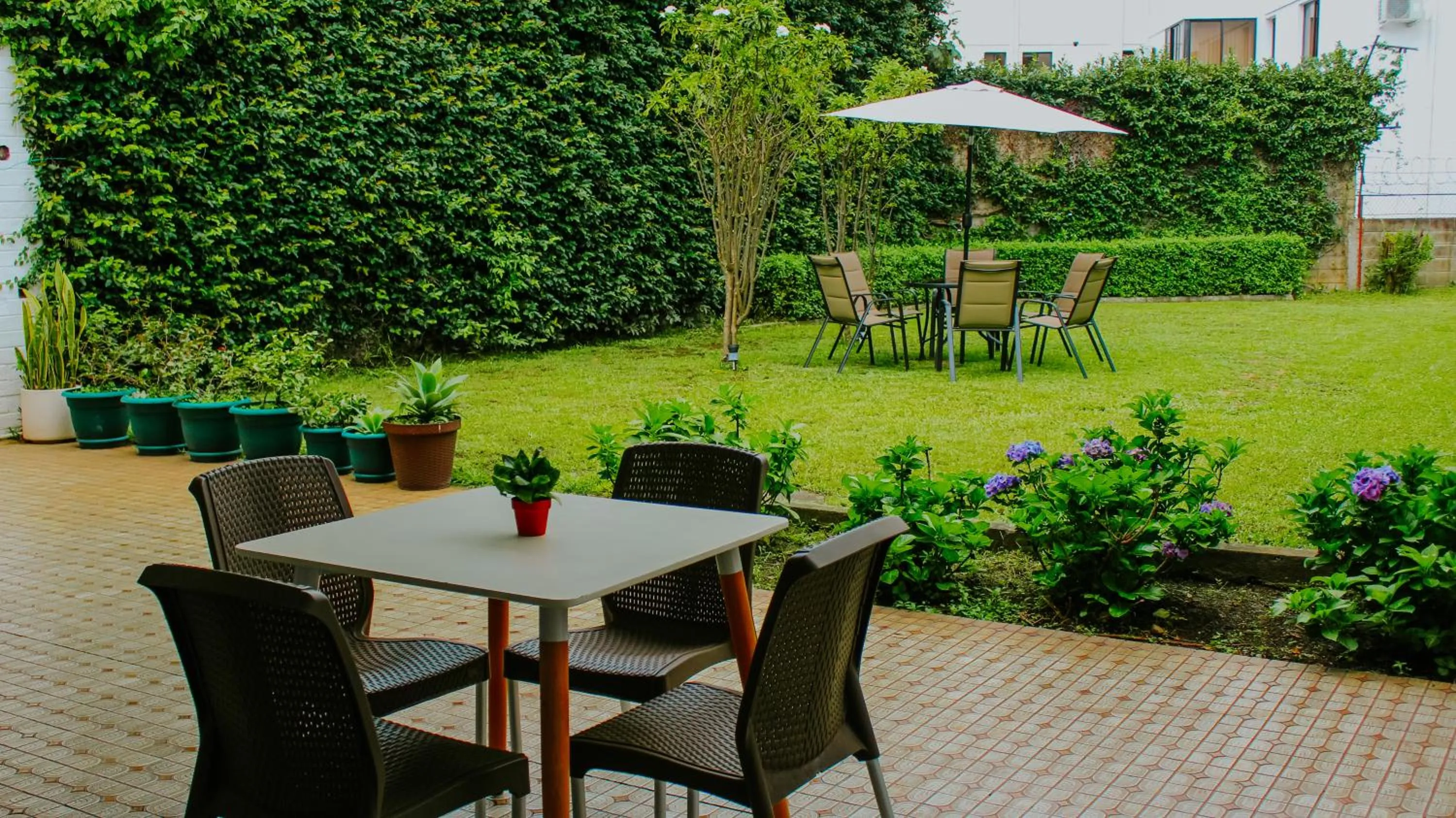 Patio in LA RUTA HOTEL CORPORATIVO