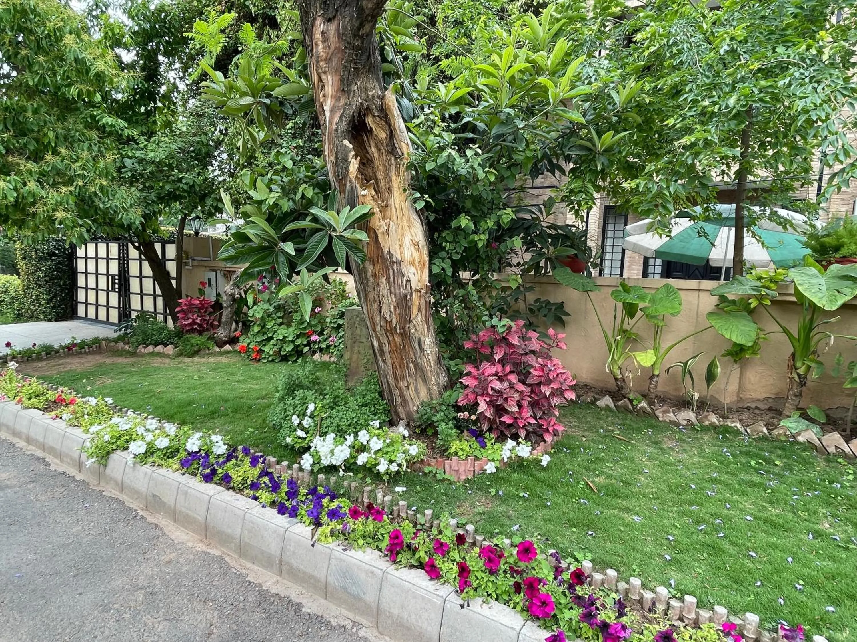 Garden view in Riviera Courtyard Guest House Islamabad