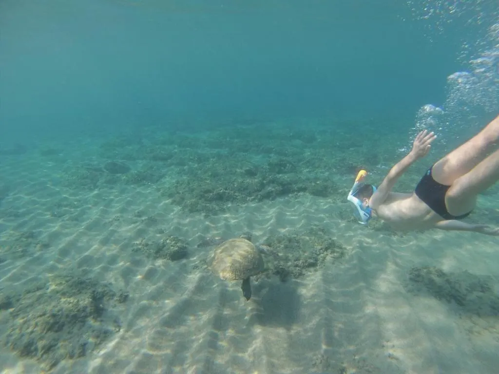 Snorkeling in Irida Beach Resort Suites