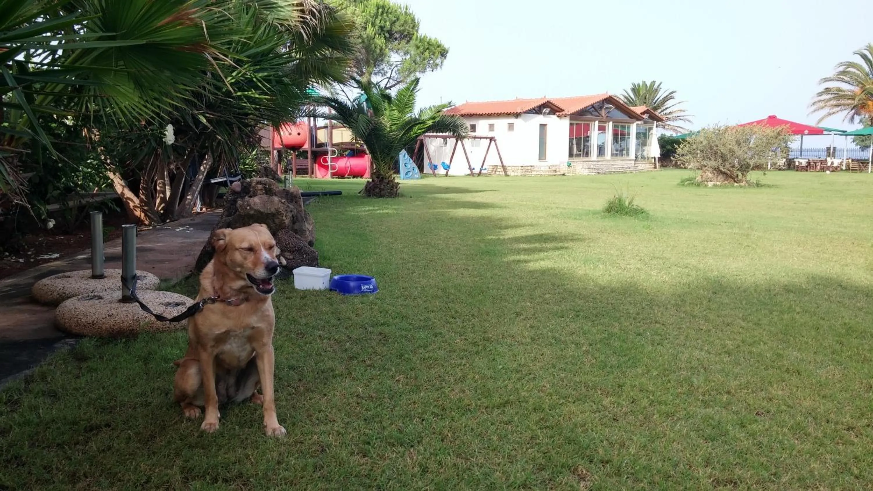 Garden in Irida Beach Resort Suites