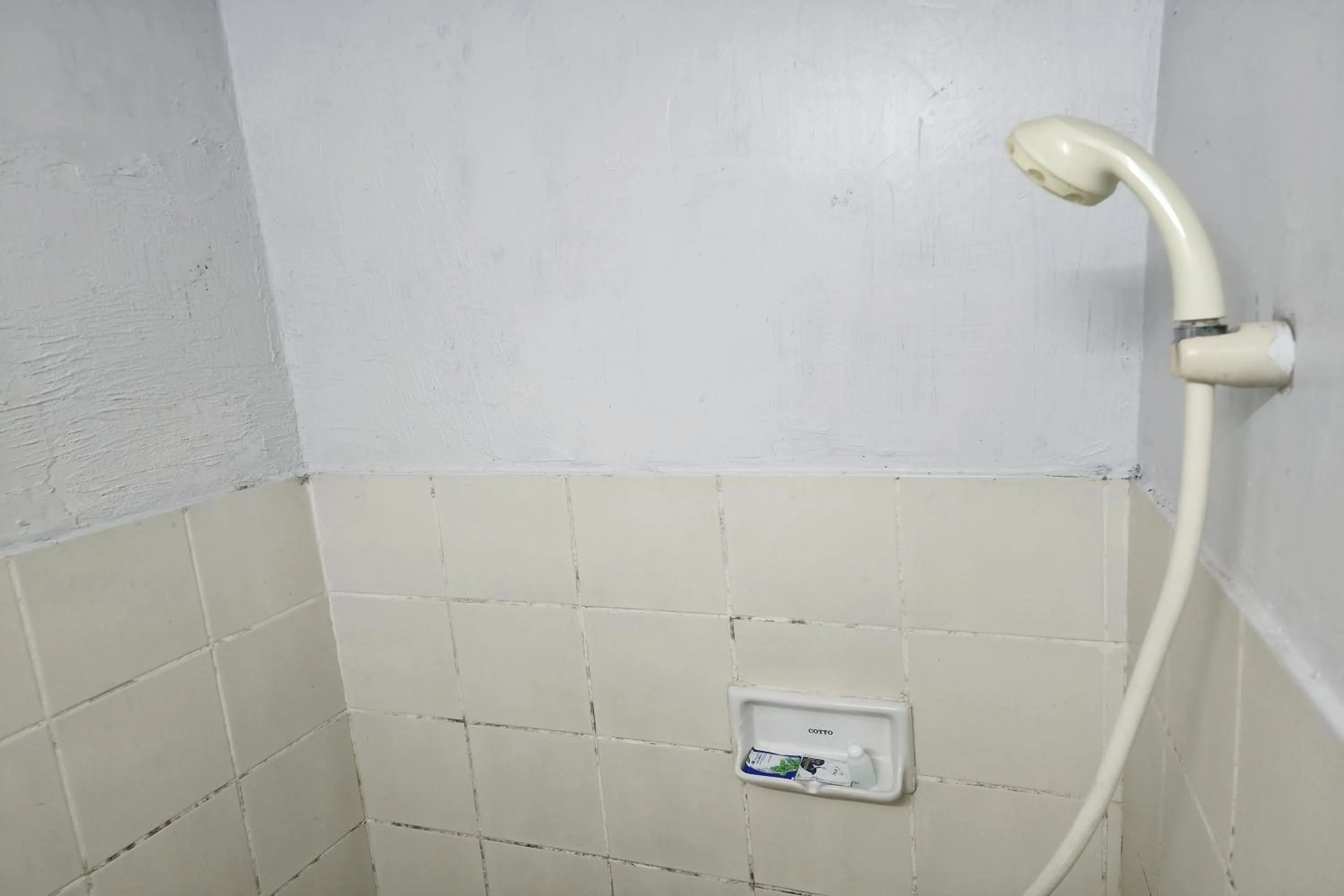 Shower in Green Apartment Kaset