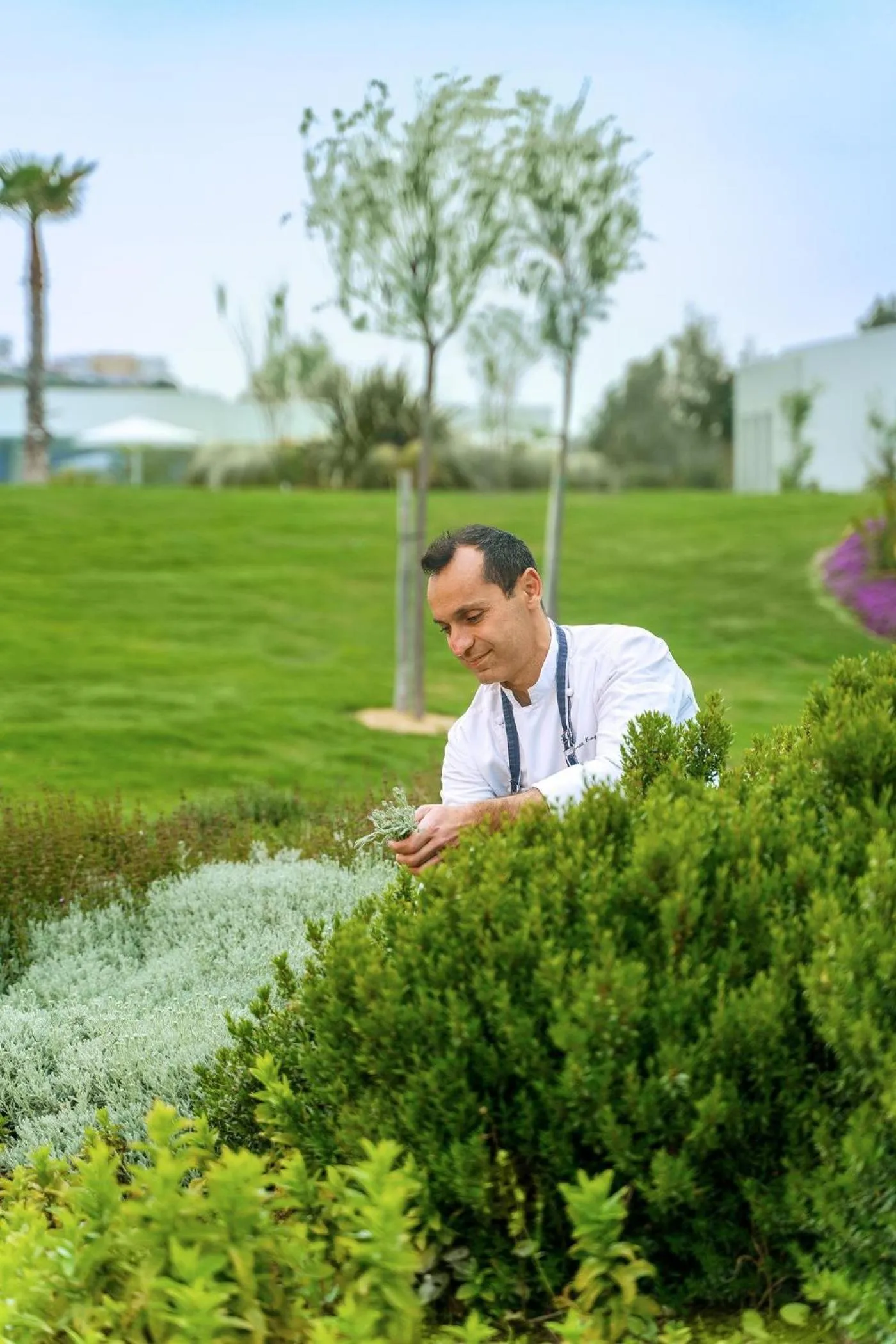 Garden in Ikos Dassia