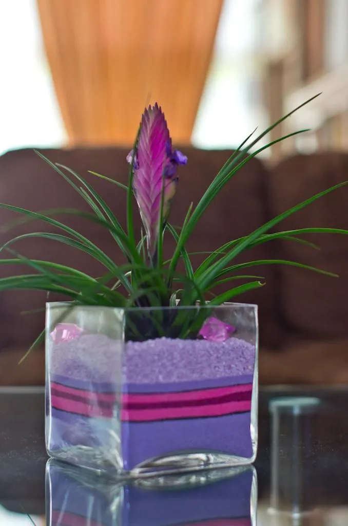 Other in Hotel Koala