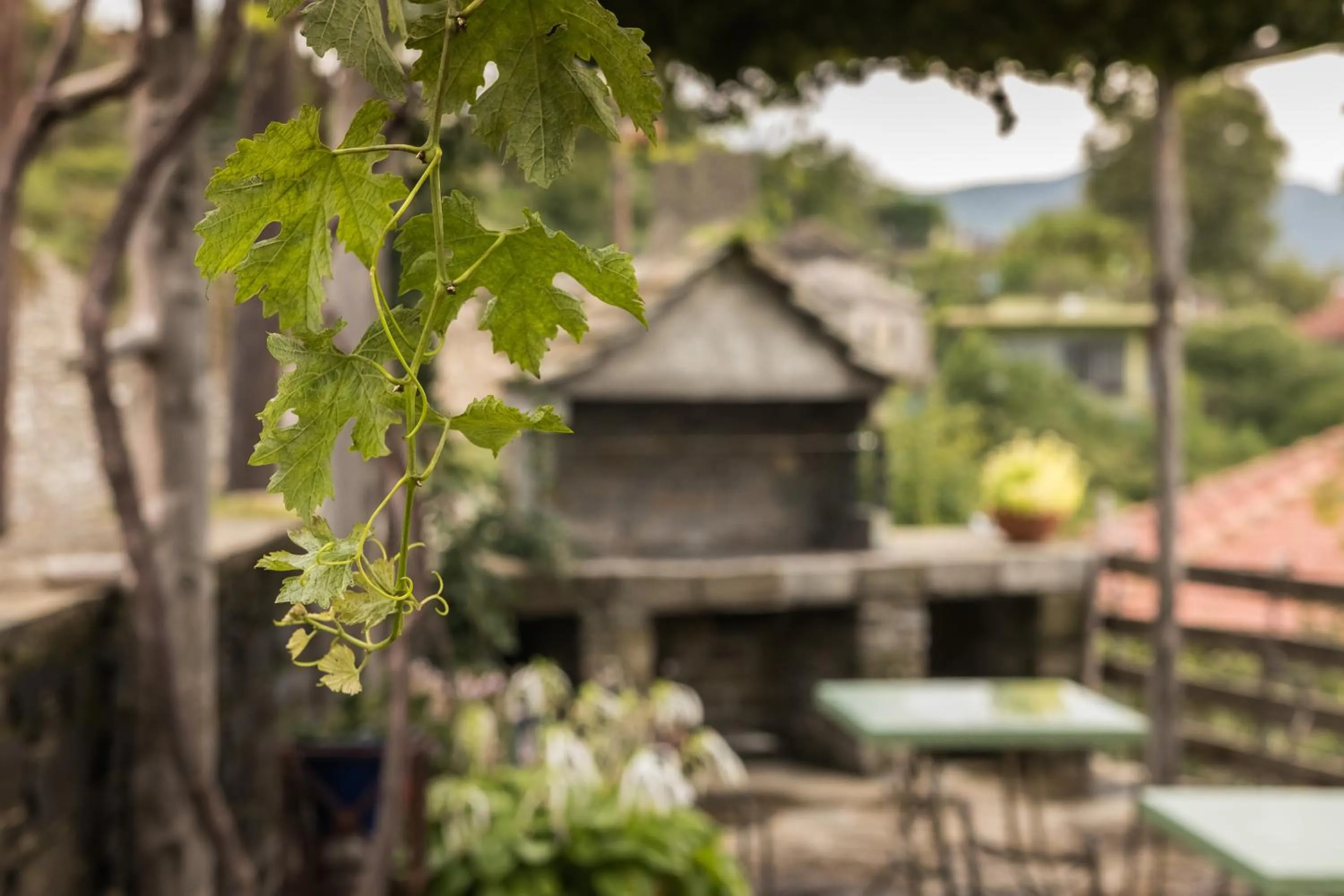 BBQ facilities in Petroto