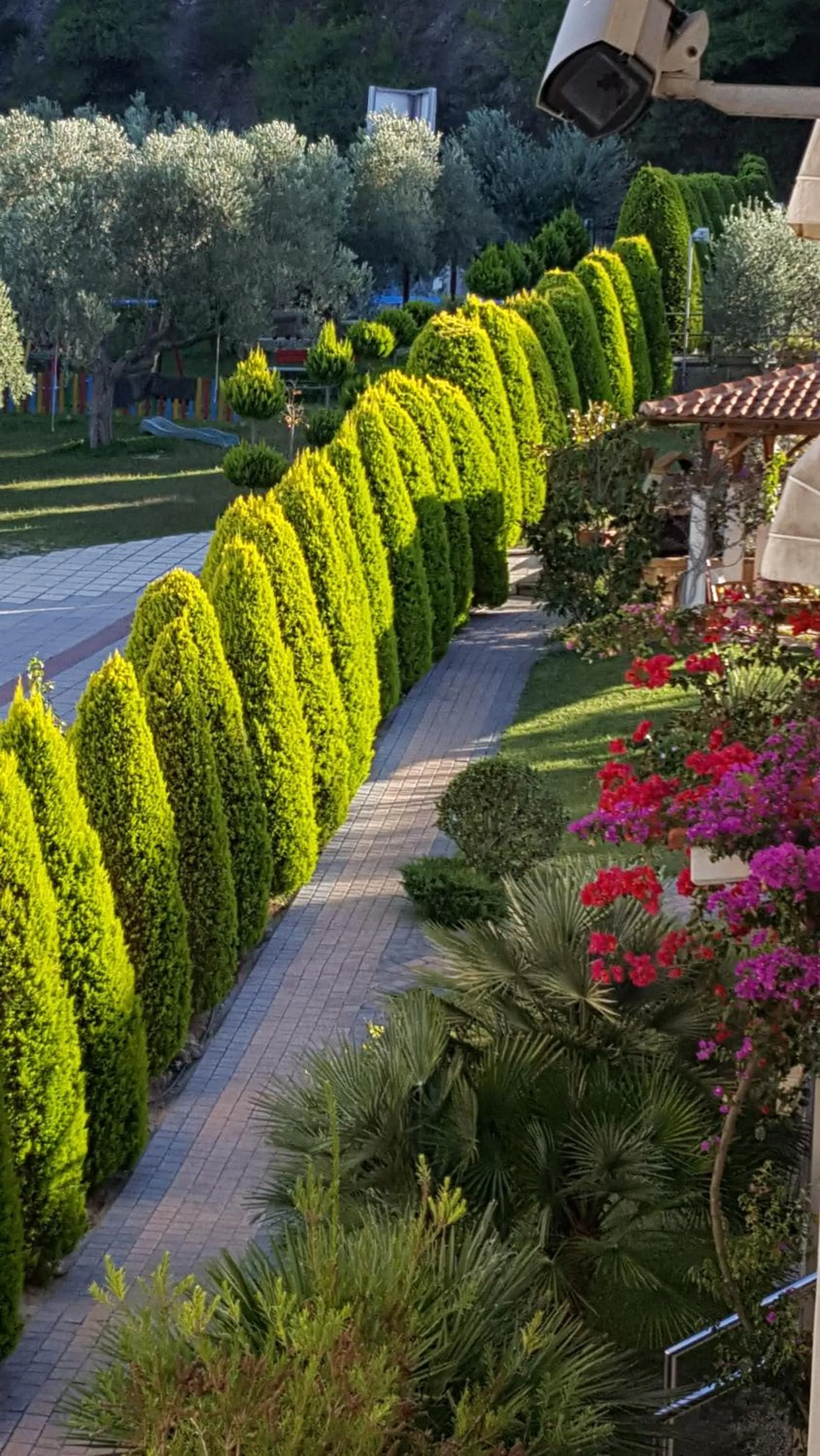 Garden in SUN RESIDENCE Exclusive Seaside Suites