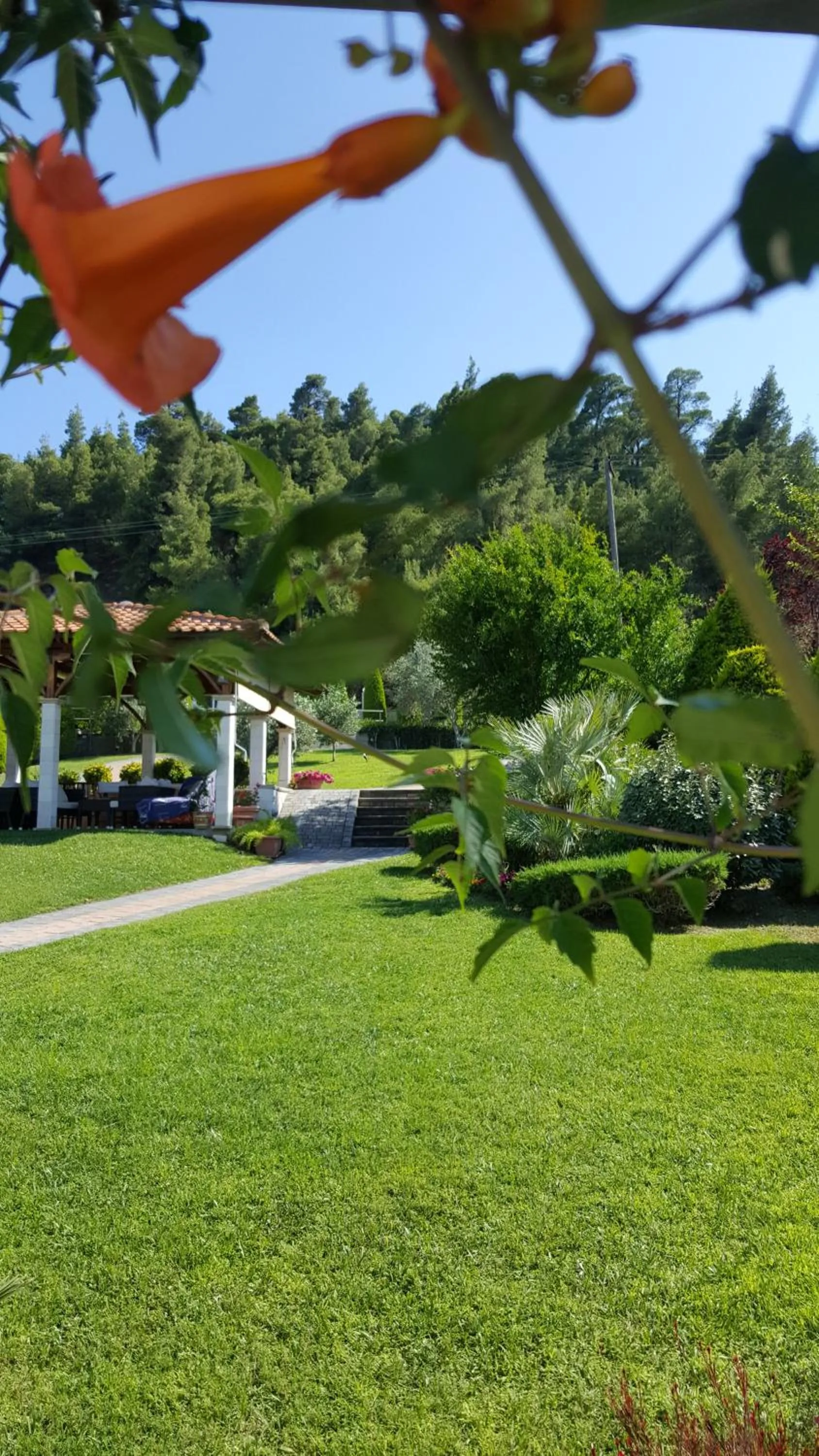 Garden in SUN RESIDENCE Exclusive Seaside Suites