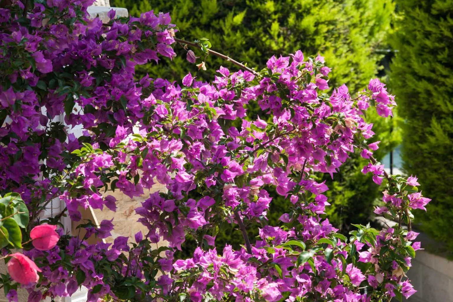 SUN RESIDENCE Exclusive Seaside Suites