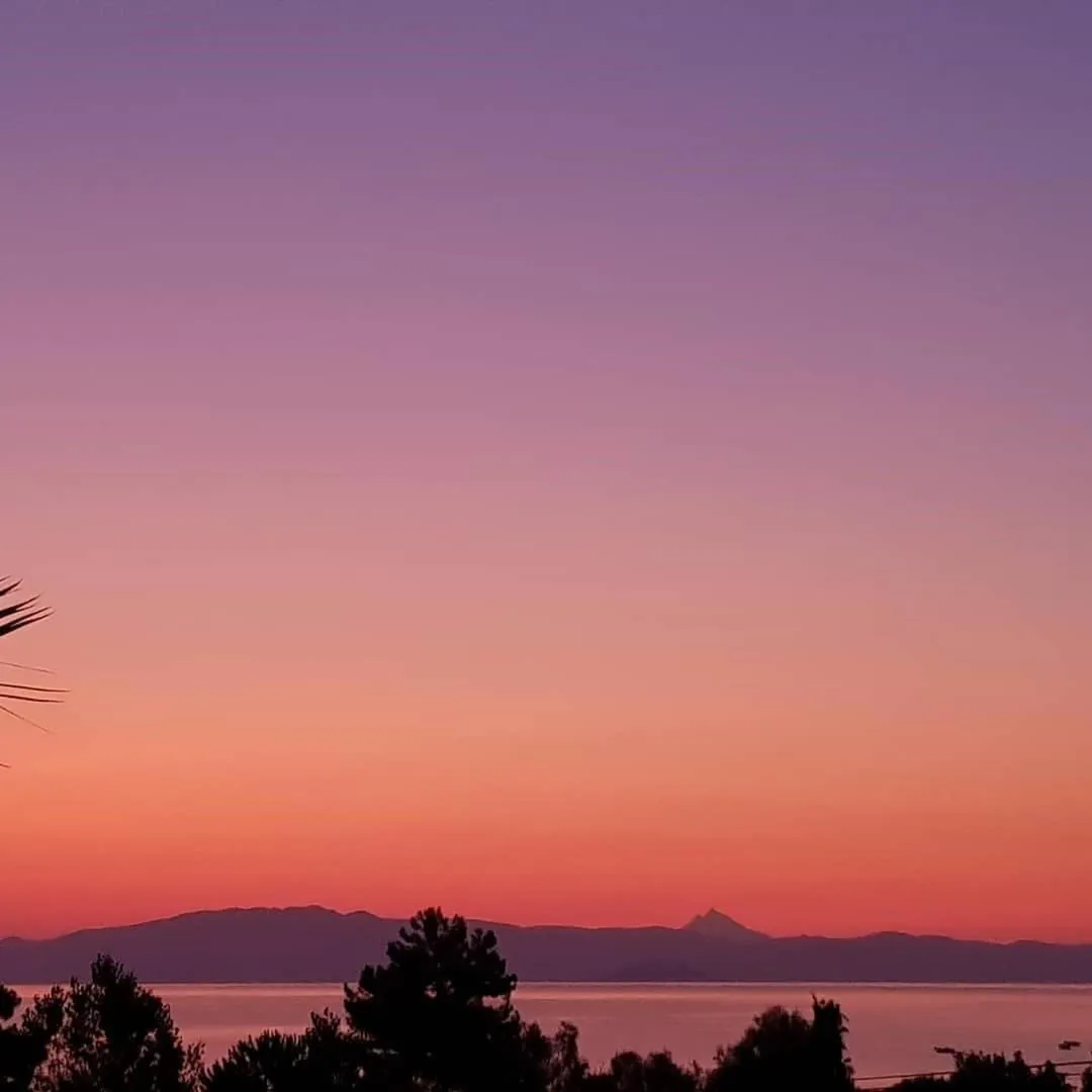 SUN RESIDENCE Exclusive Seaside Suites