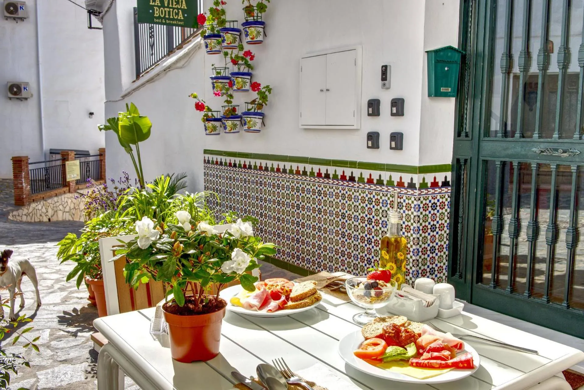Breakfast in La Vieja Botica