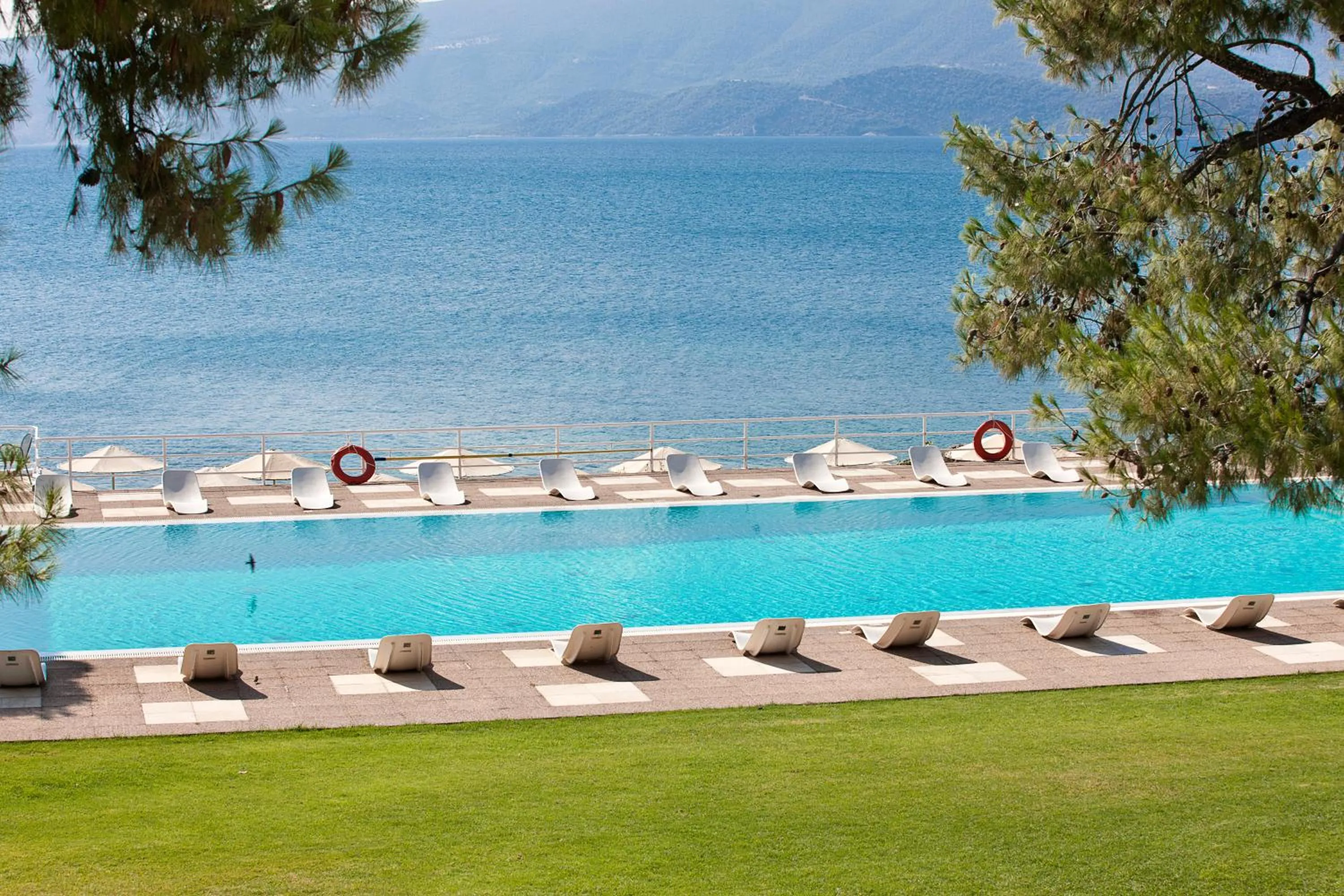 Garden in Kalamaki Beach Resort