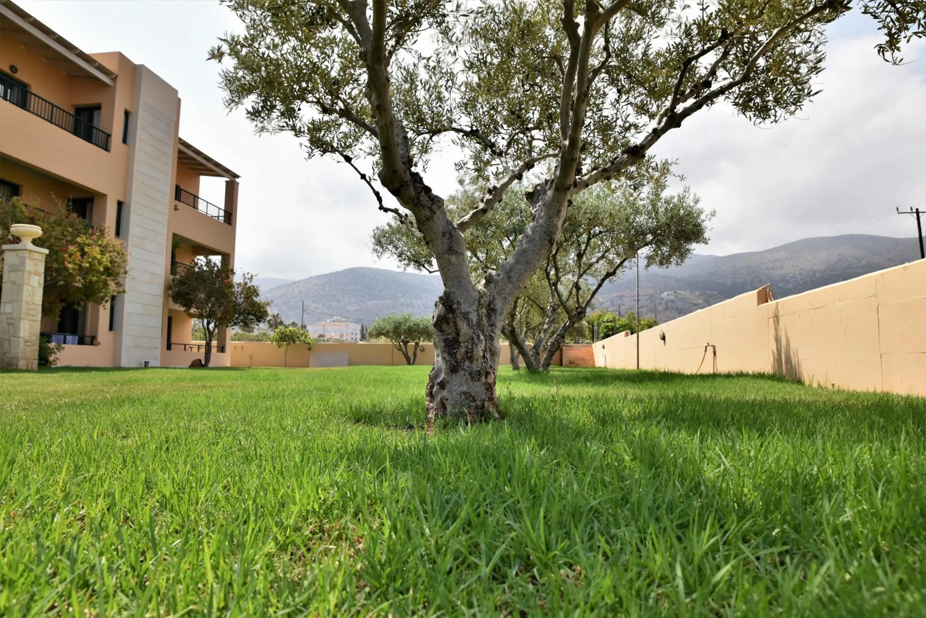 Garden in Golden Bay Hotel Apartments