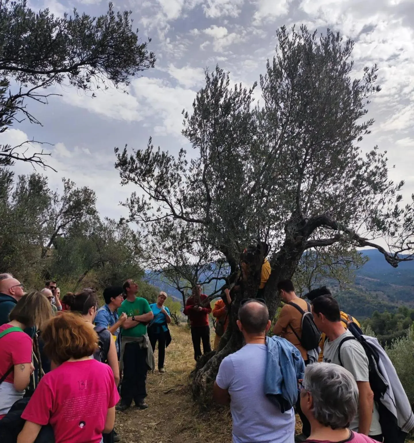 Hiking in Pensión Mesón La Lonja - Herbers