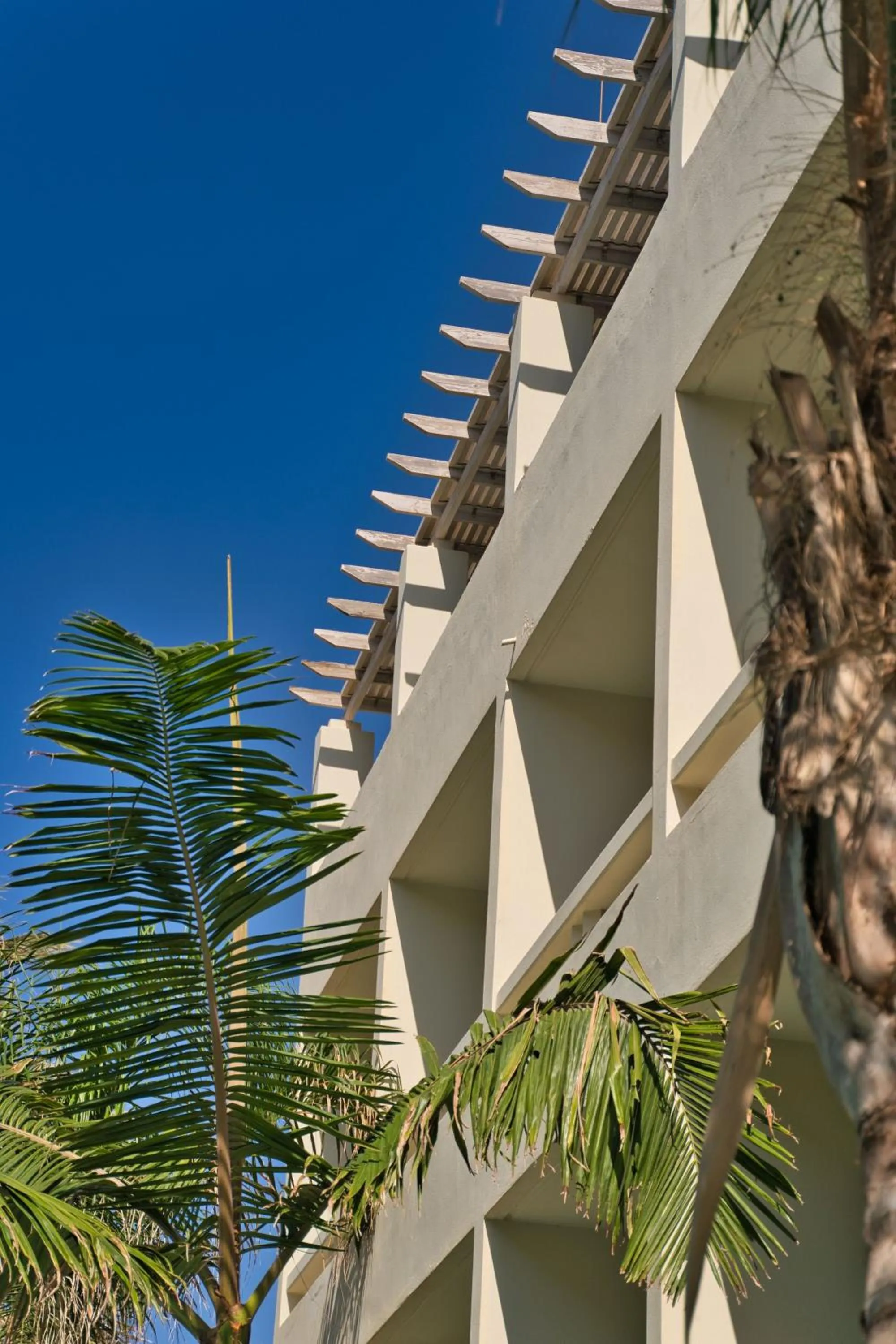 Property building in Pearl Beach