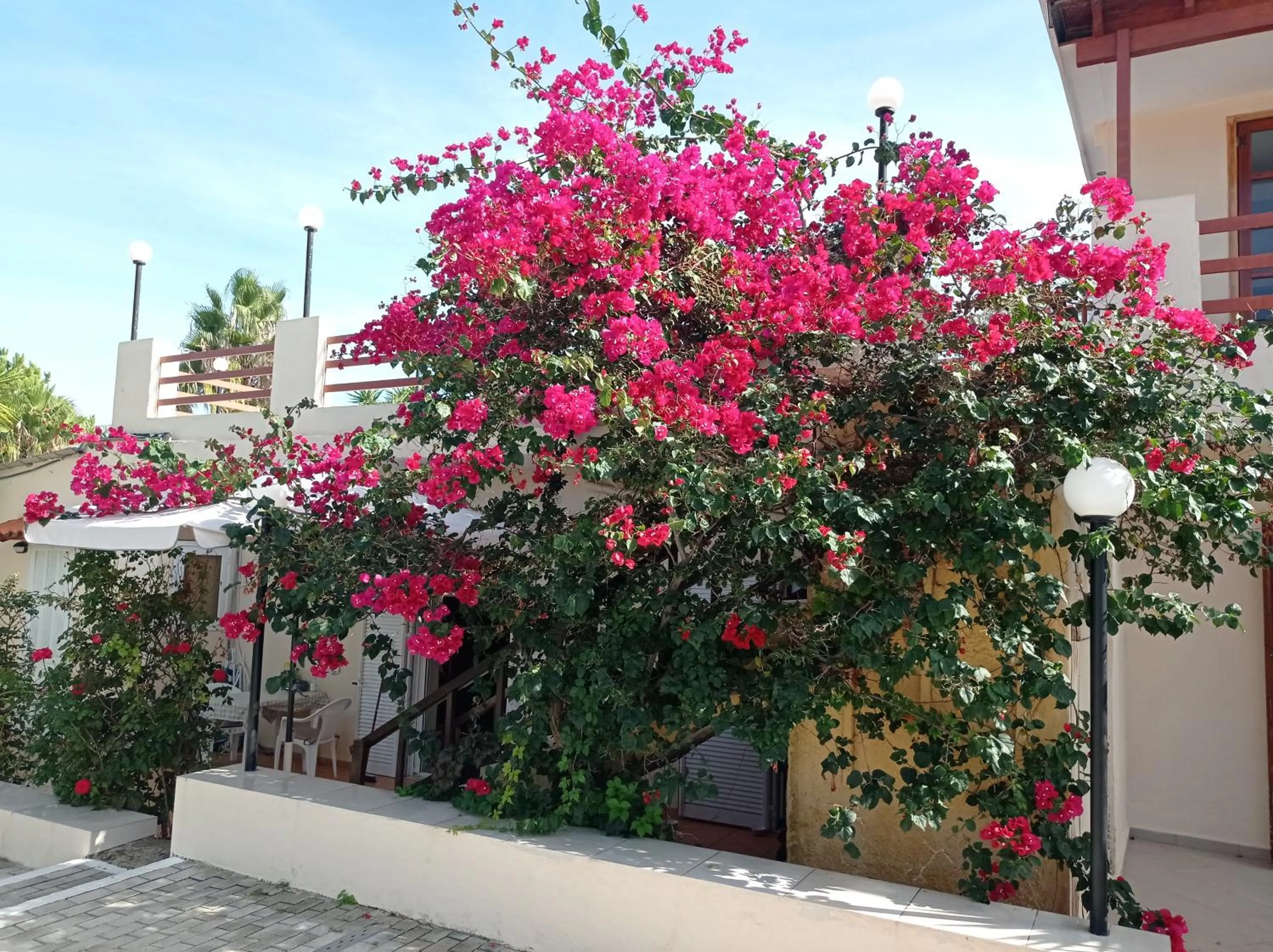 Property building in Alexandros Studios