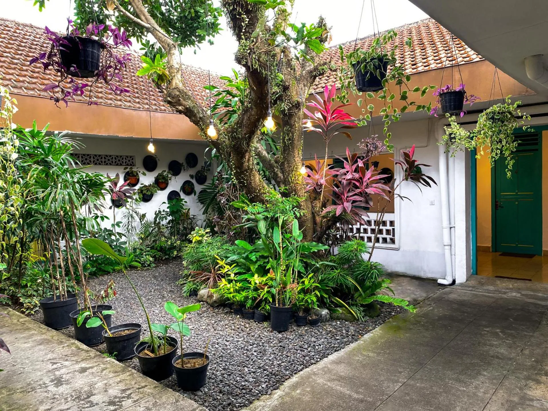 Garden view in Snooze Malang