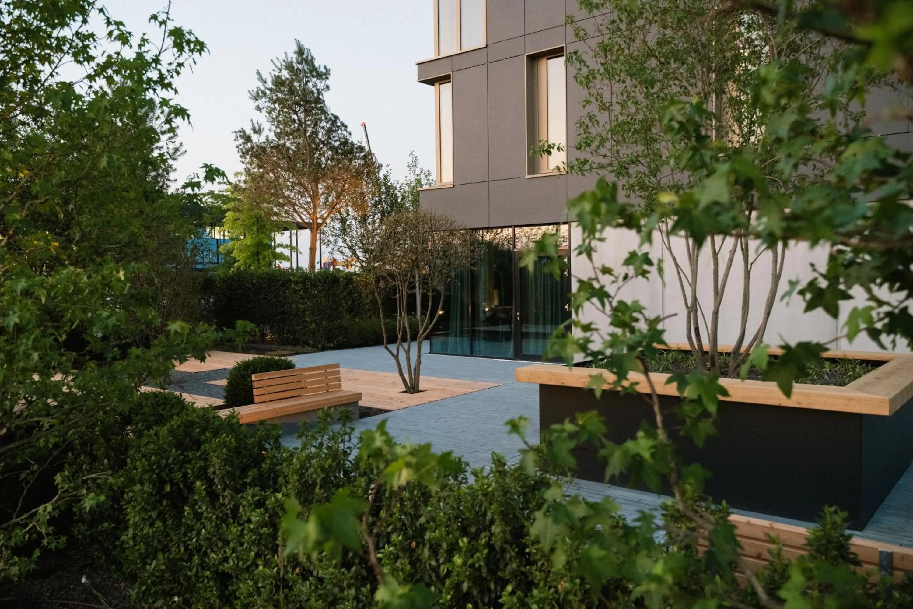 Garden in Coreum Hotel