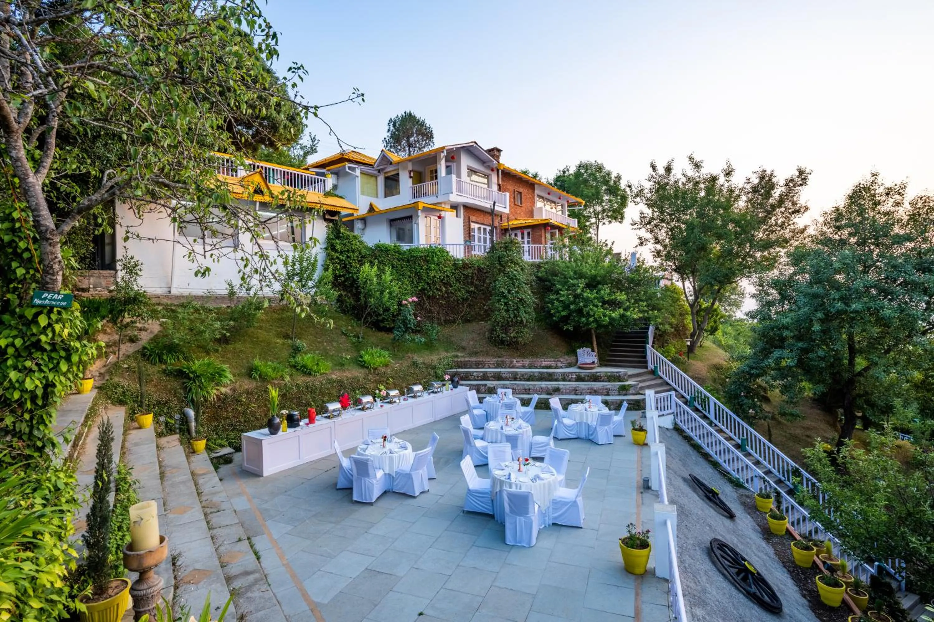 Garden in Te Aroha By Shervani