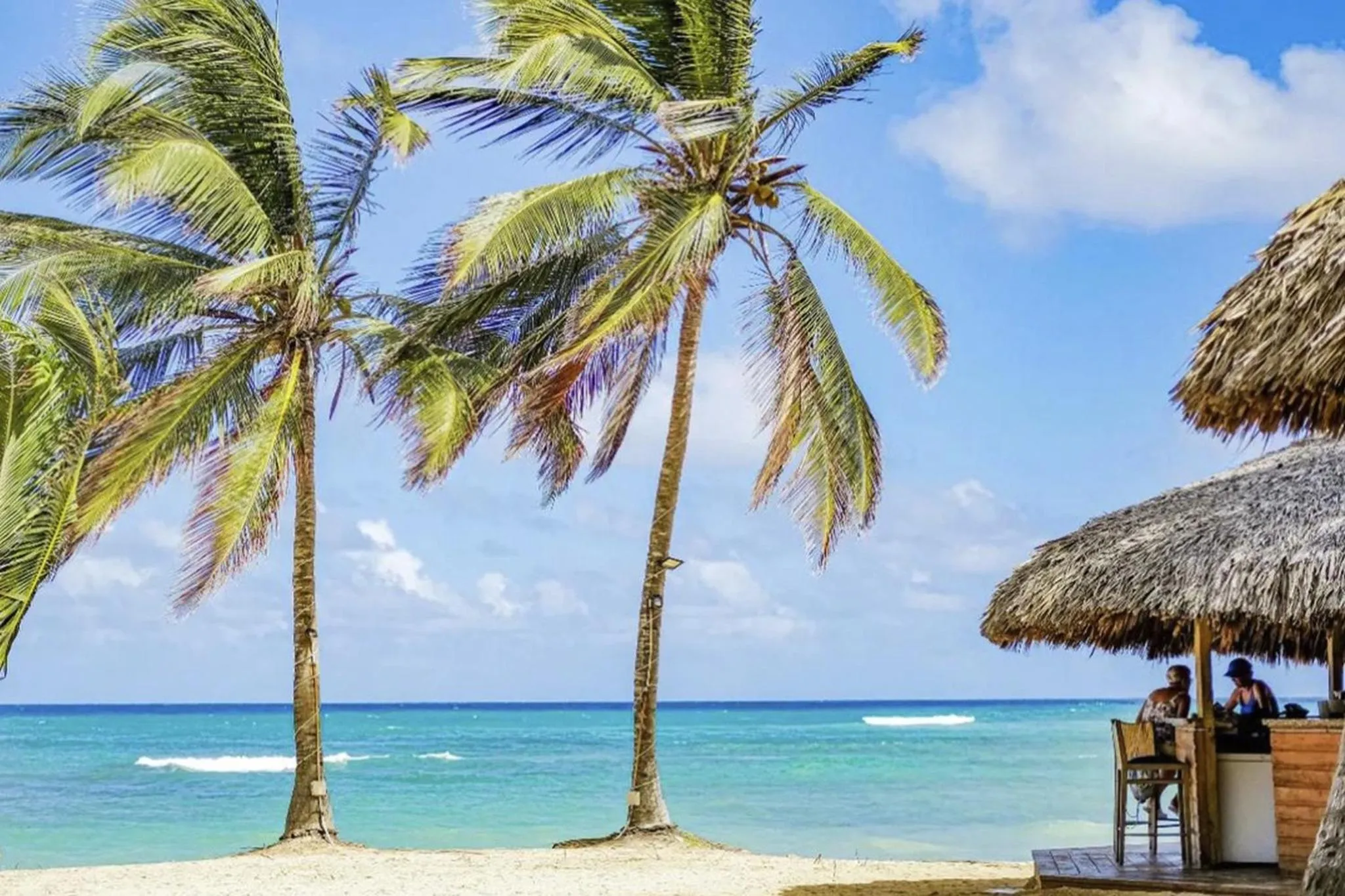 Playa Palmera Beach Resort