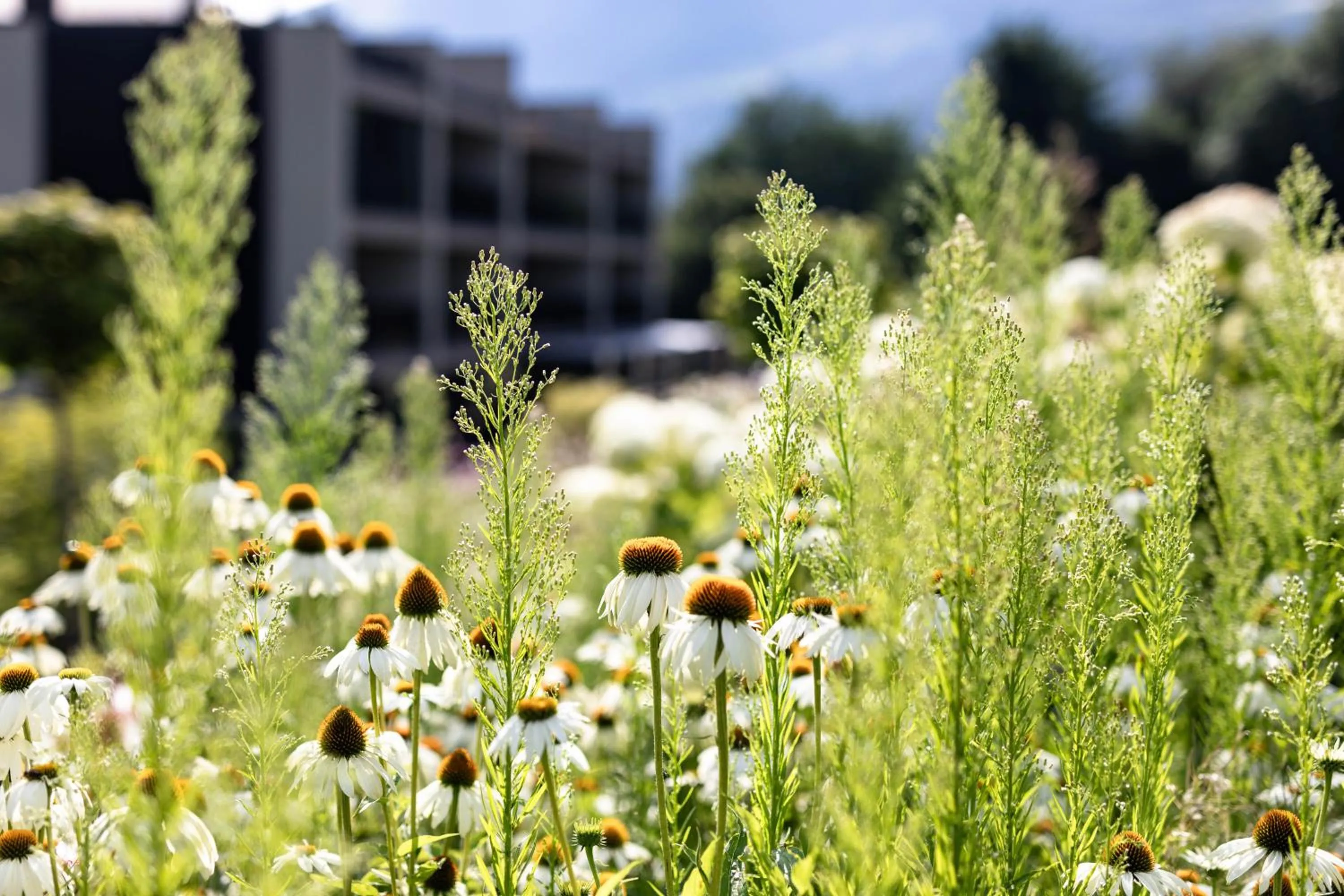 Boutique Hotel AMARIL