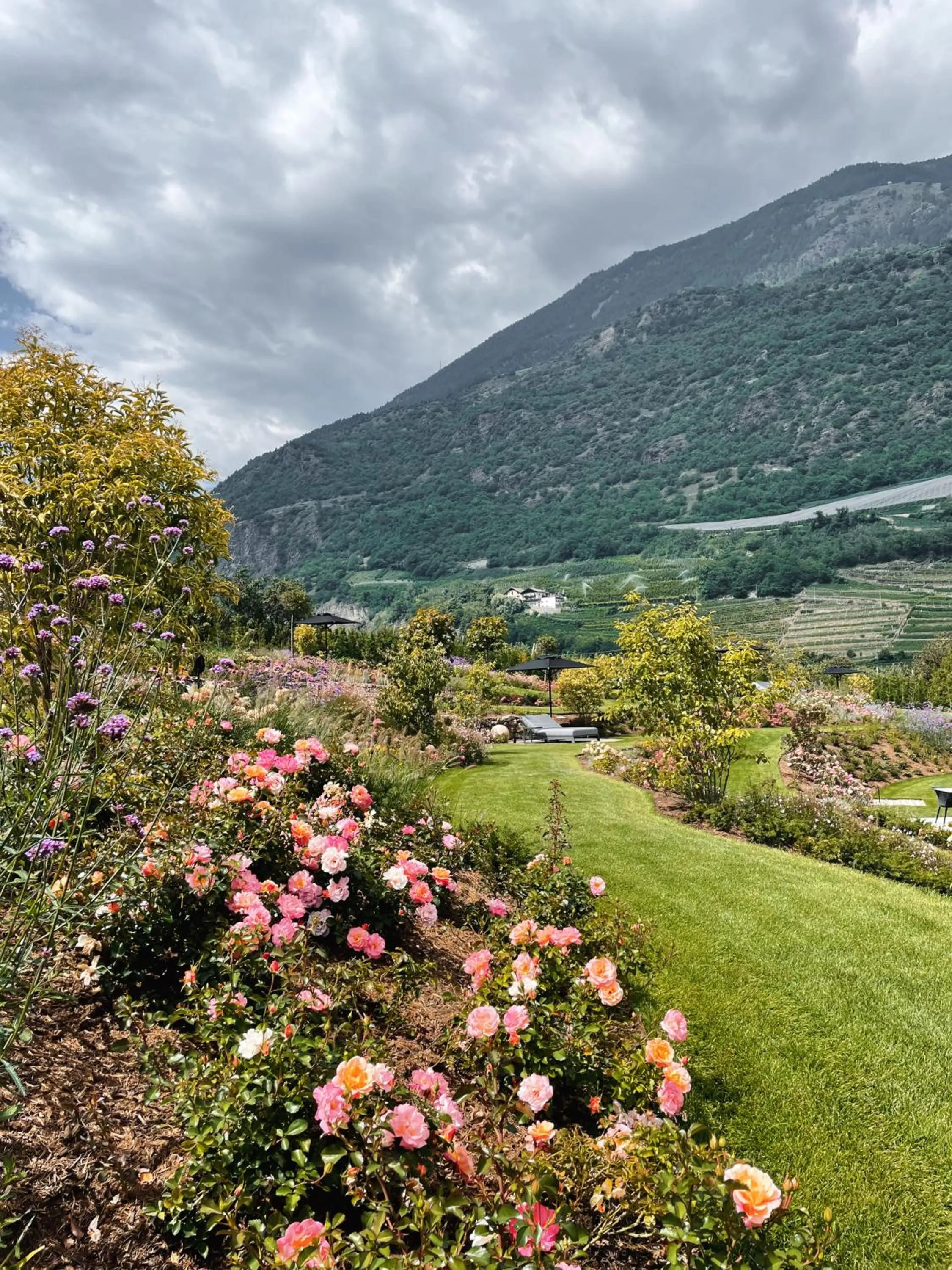 Garden in Boutique Hotel AMARIL