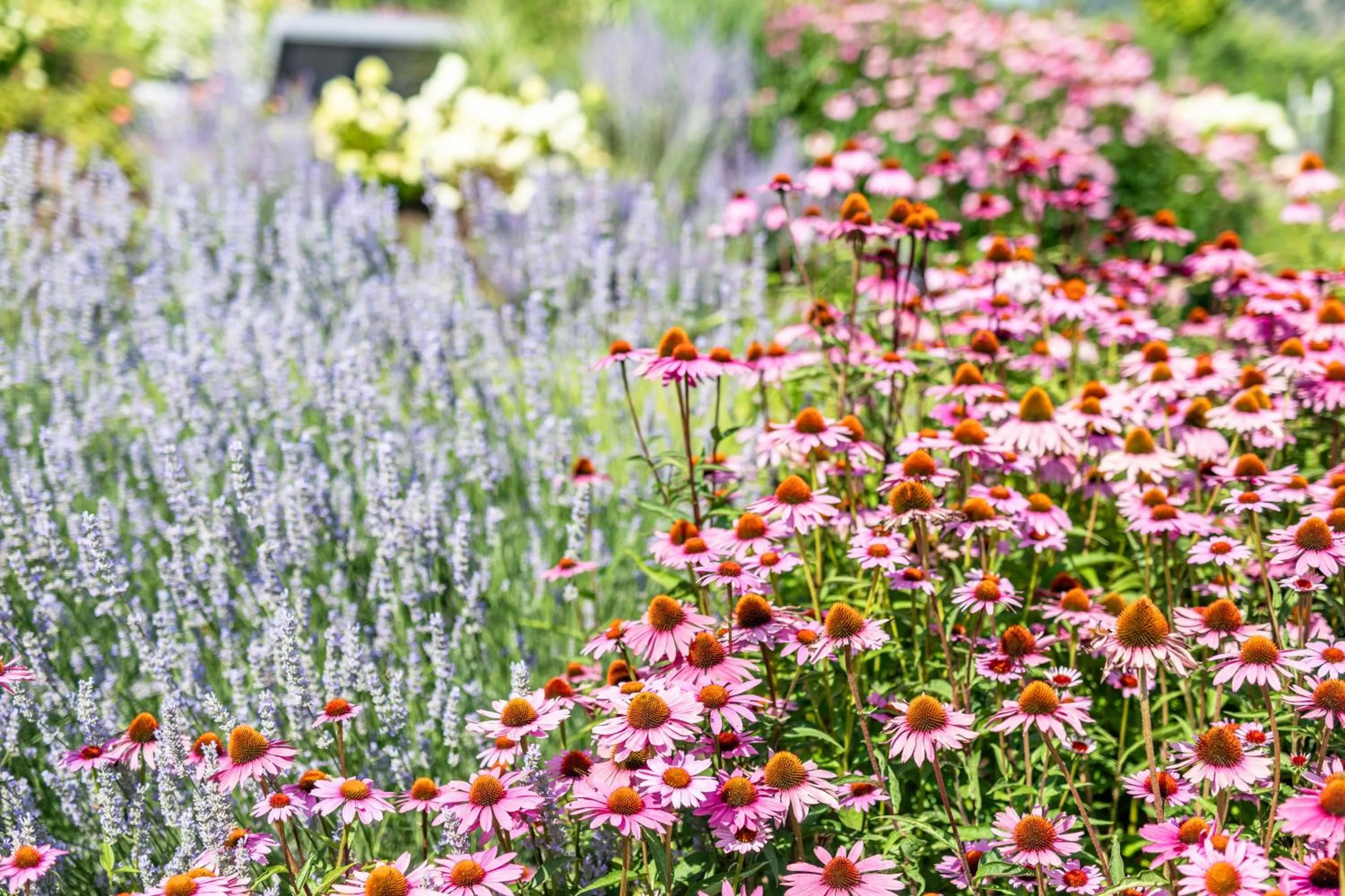 Boutique Hotel AMARIL