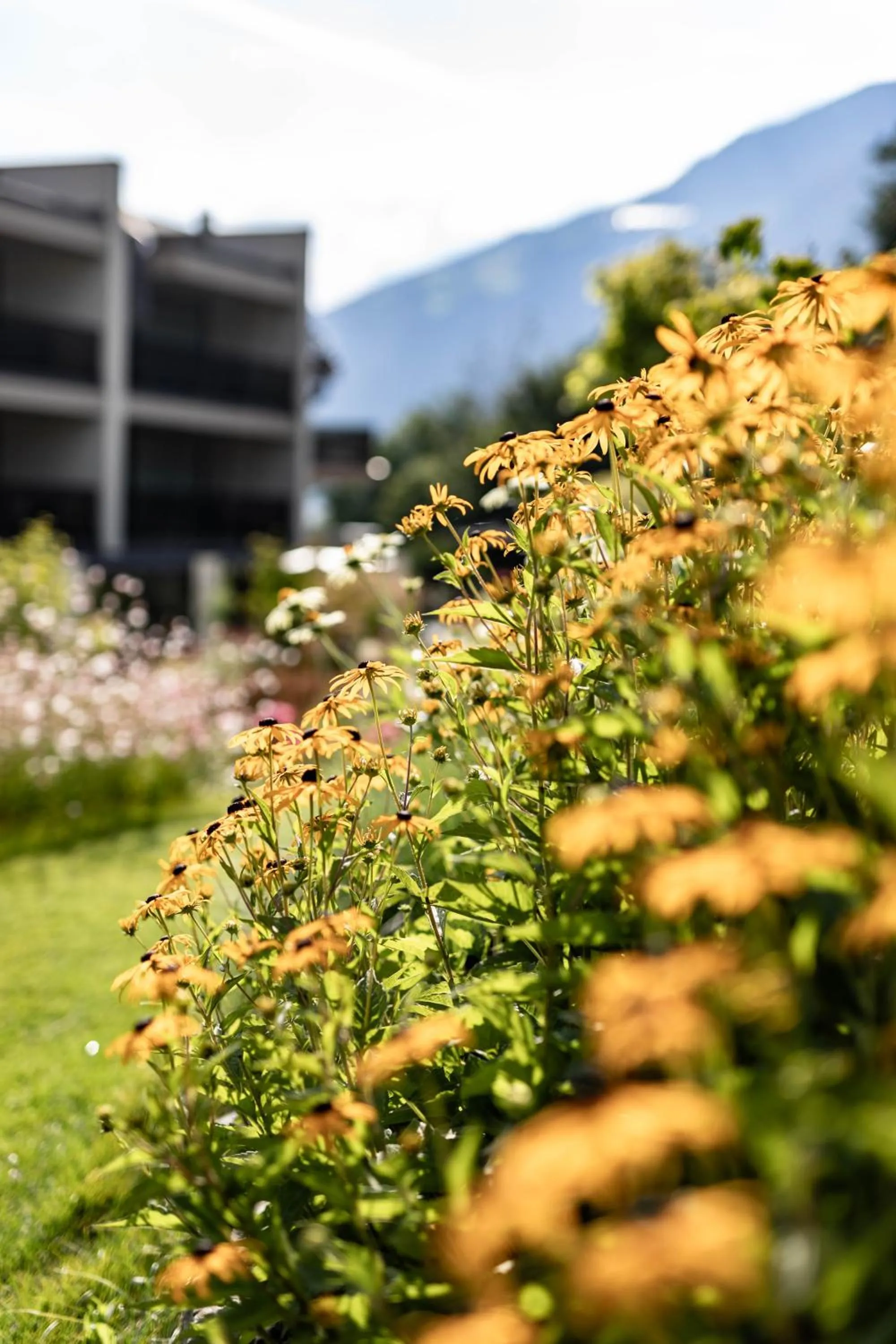 Boutique Hotel AMARIL